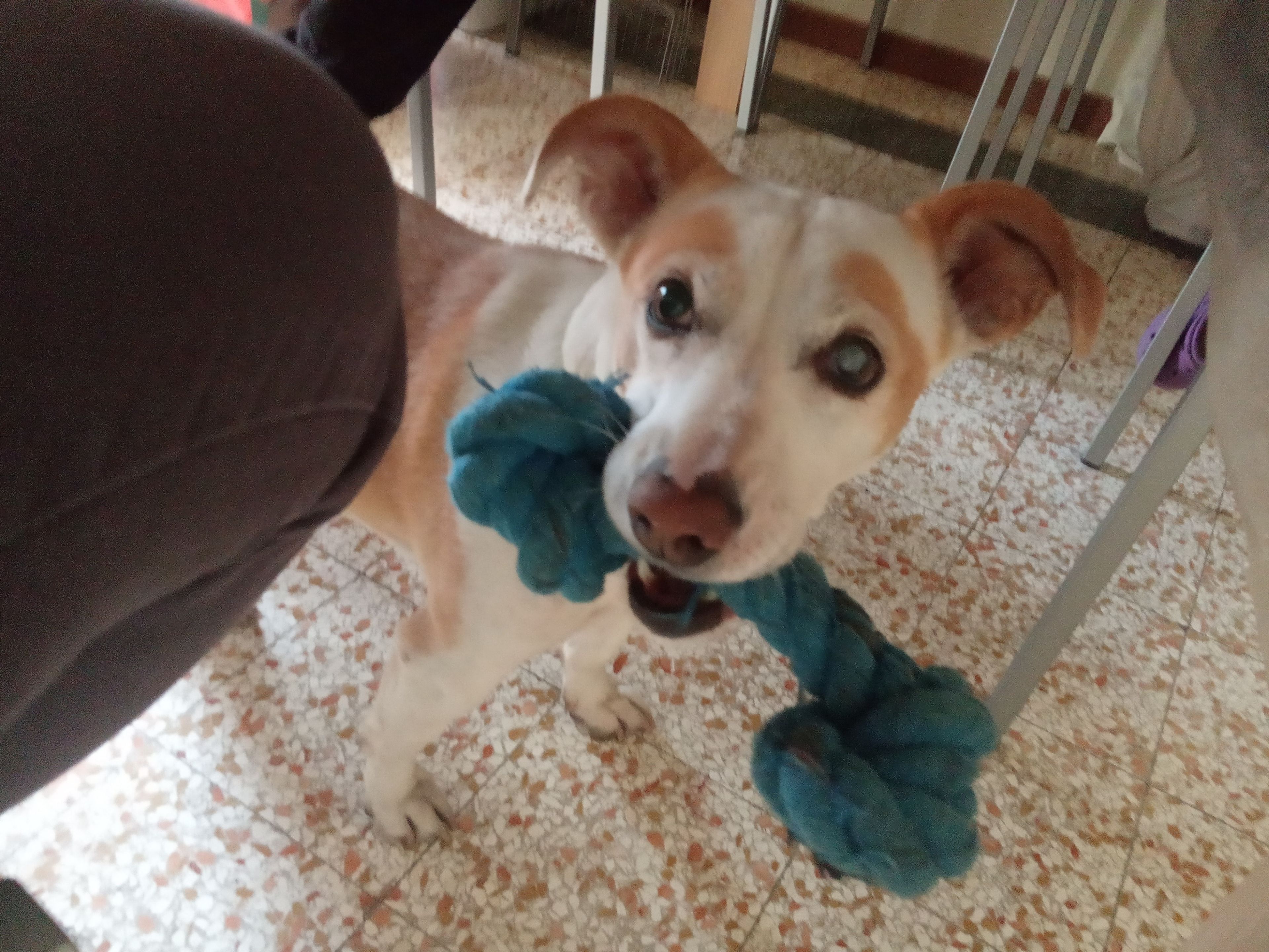 image-4