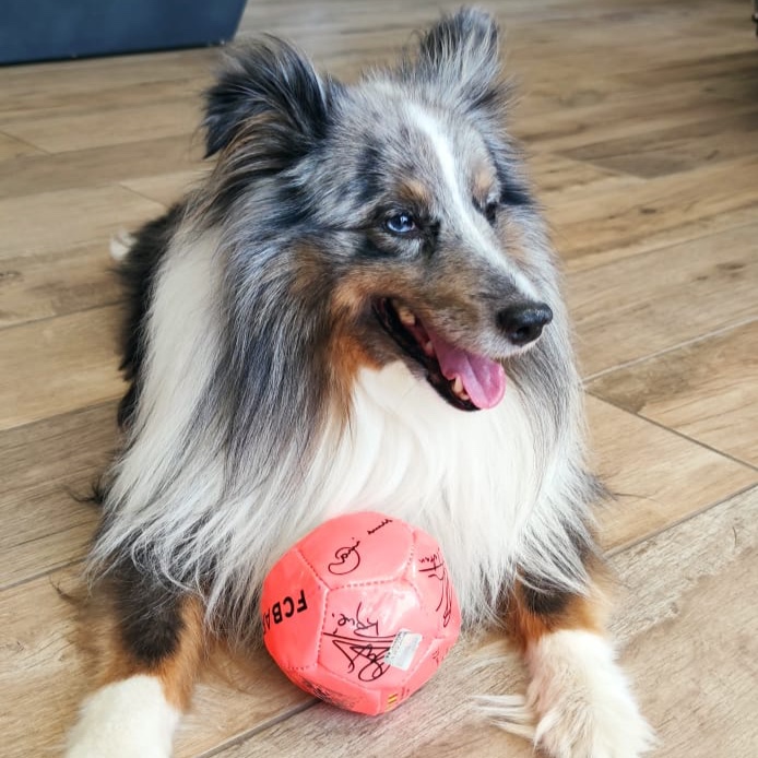 Milo 