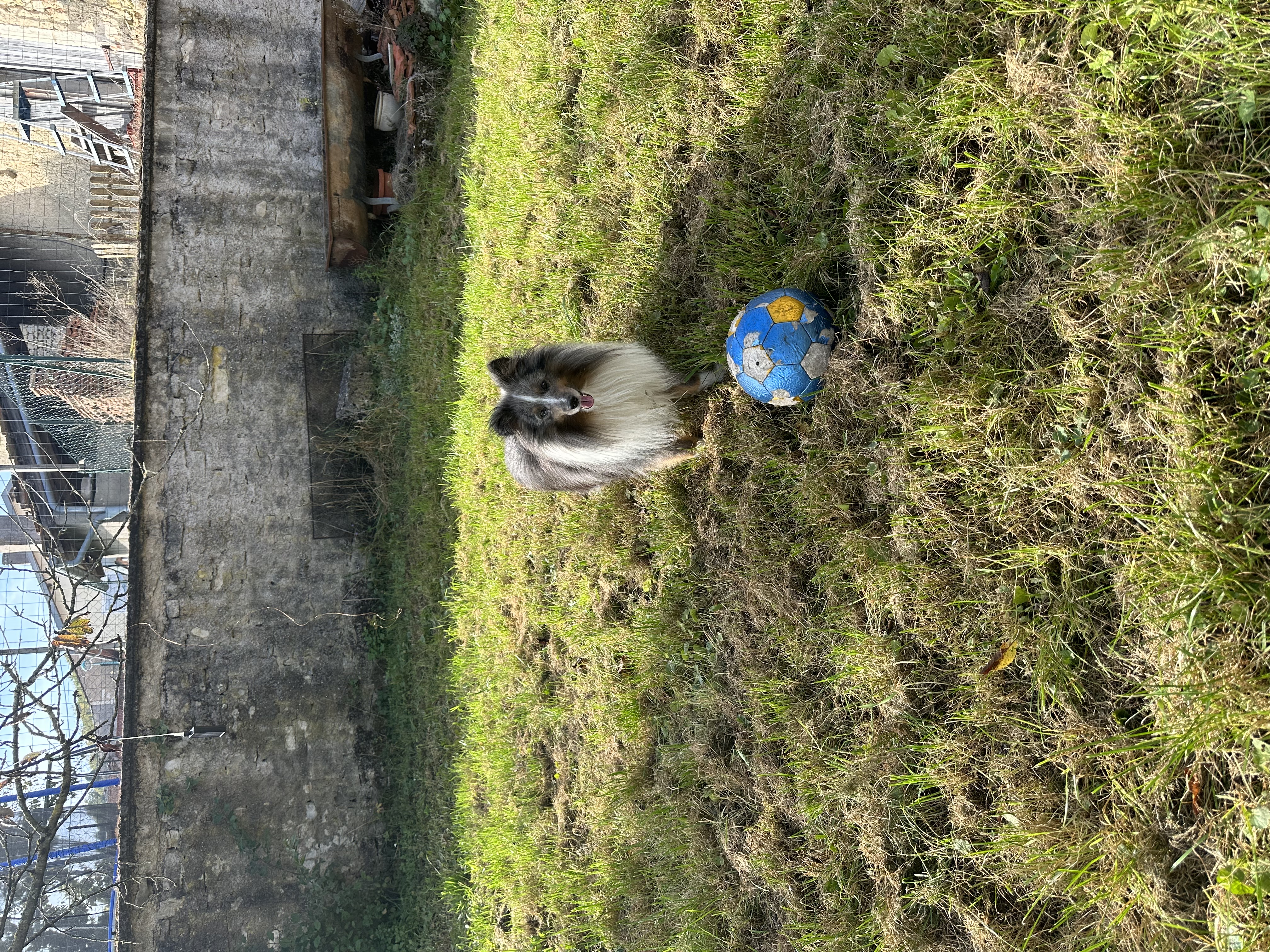 image-9