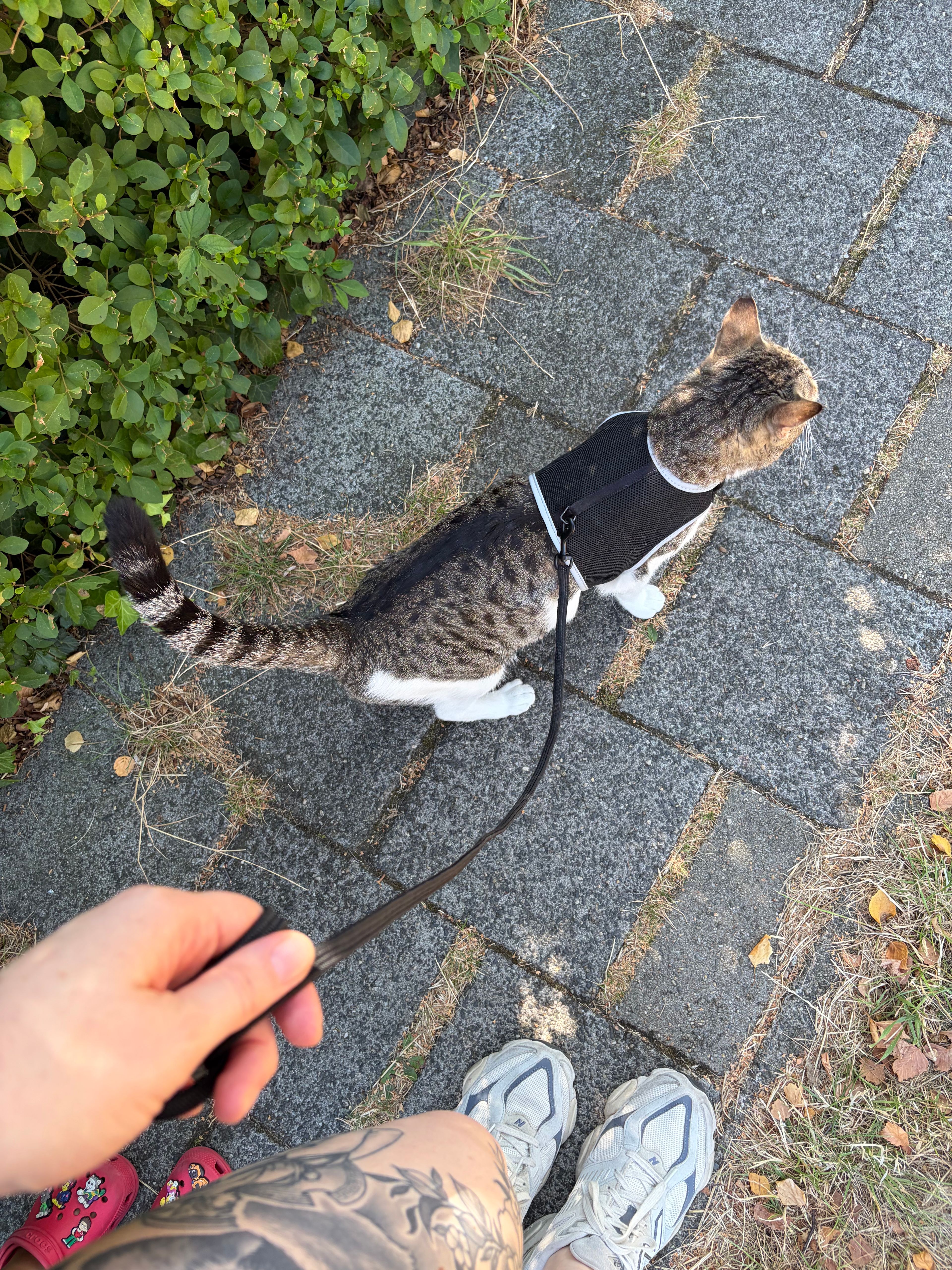 image-6