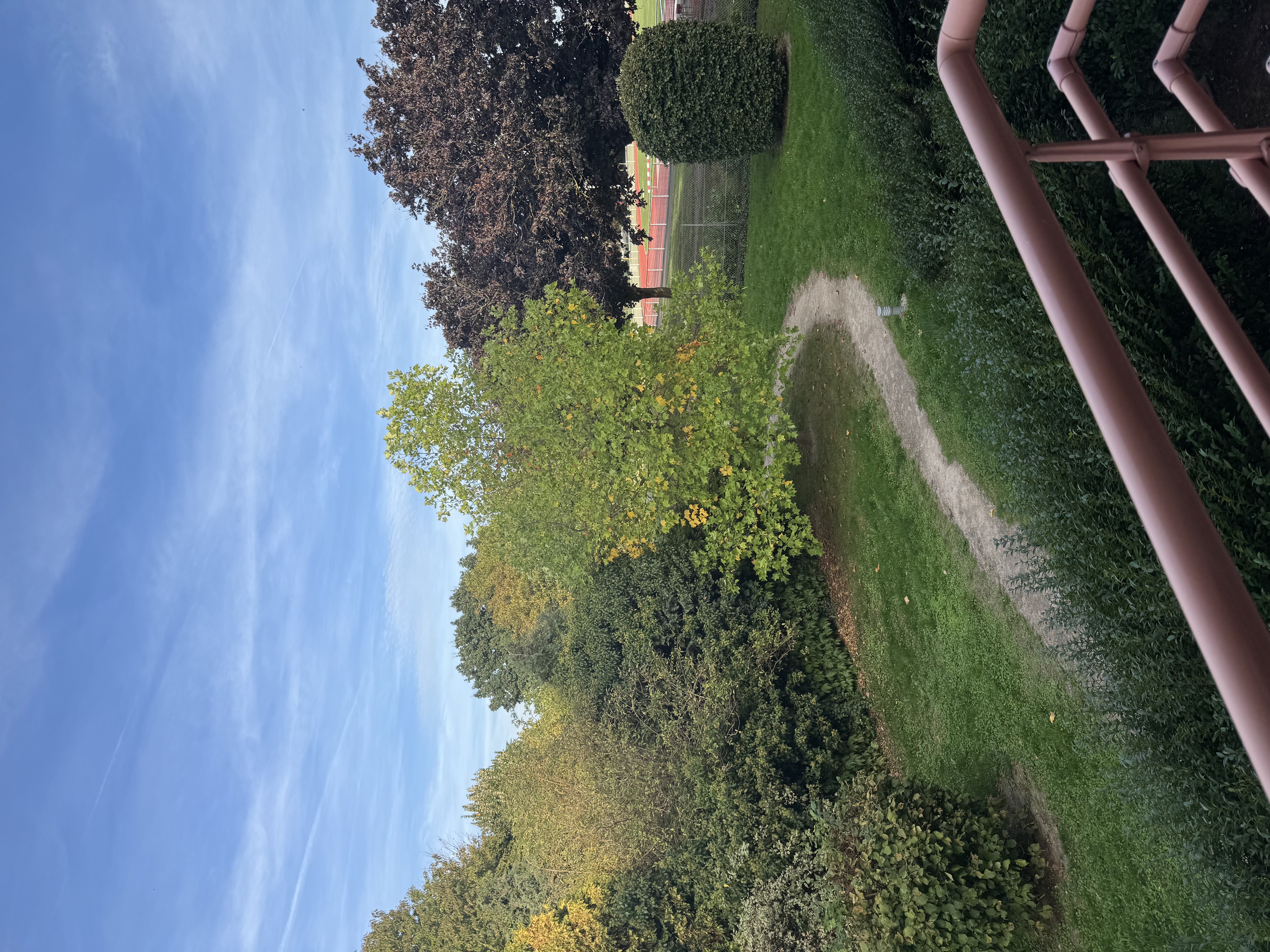 image-20