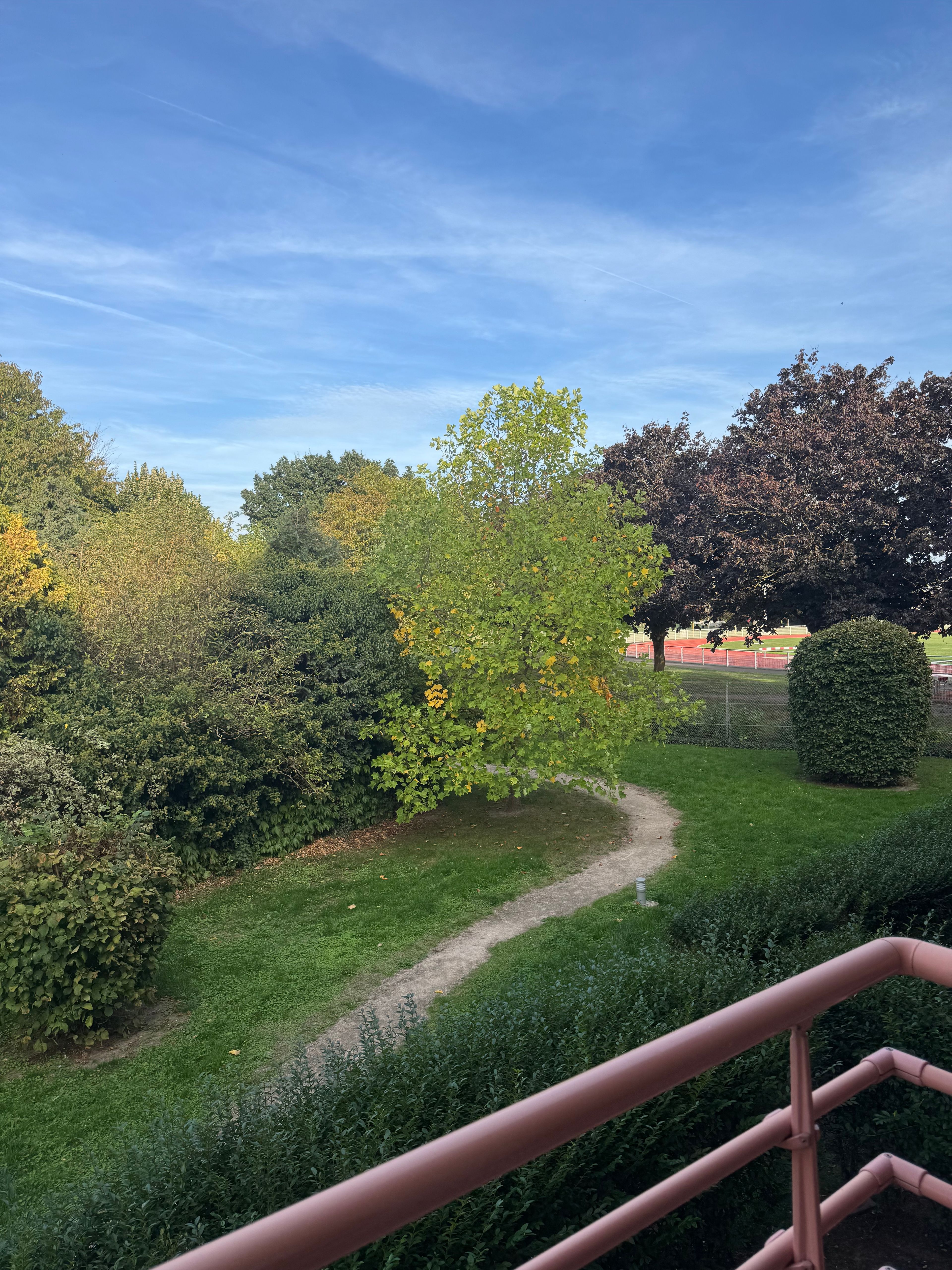 image-20