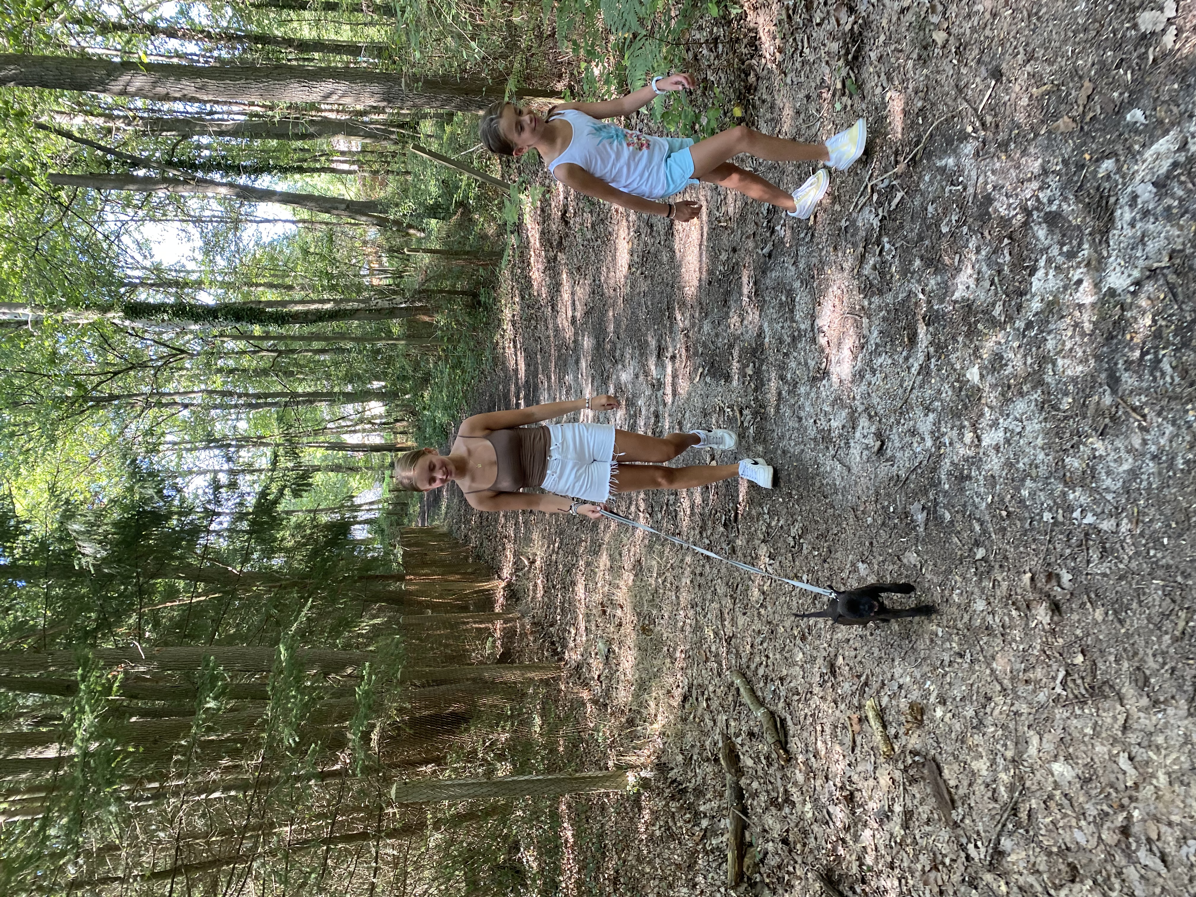 image-11
