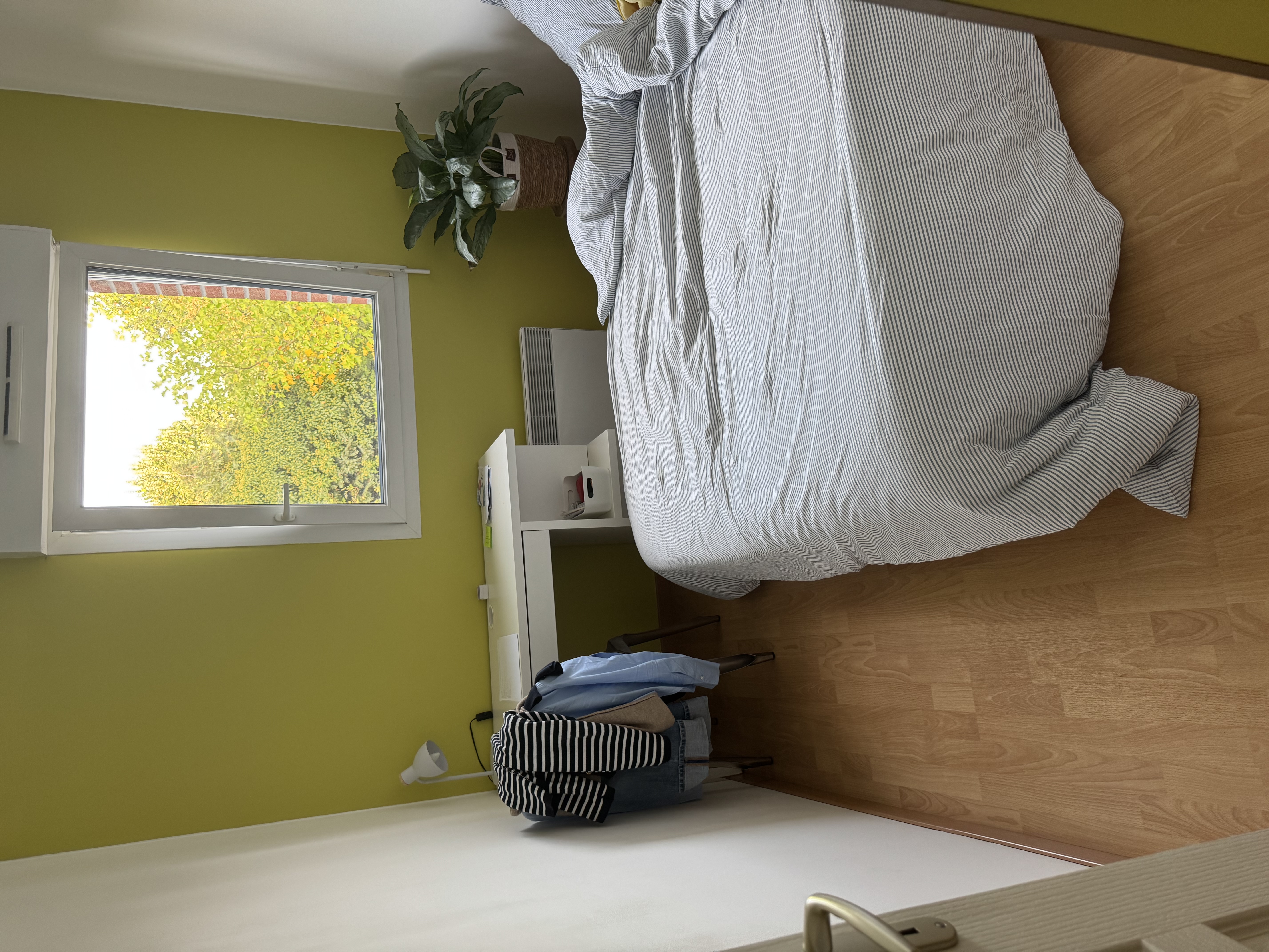 image-22