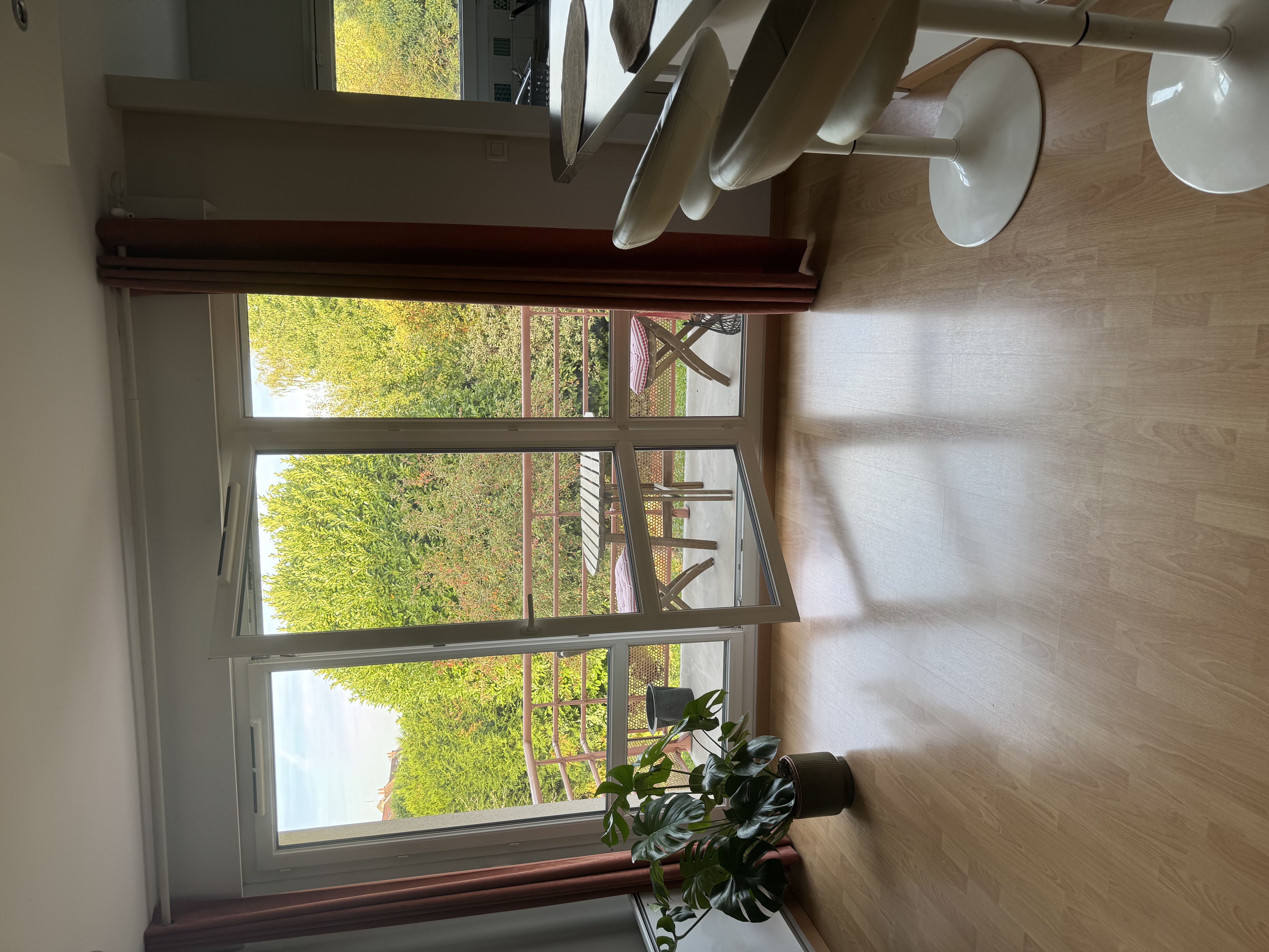 image-19