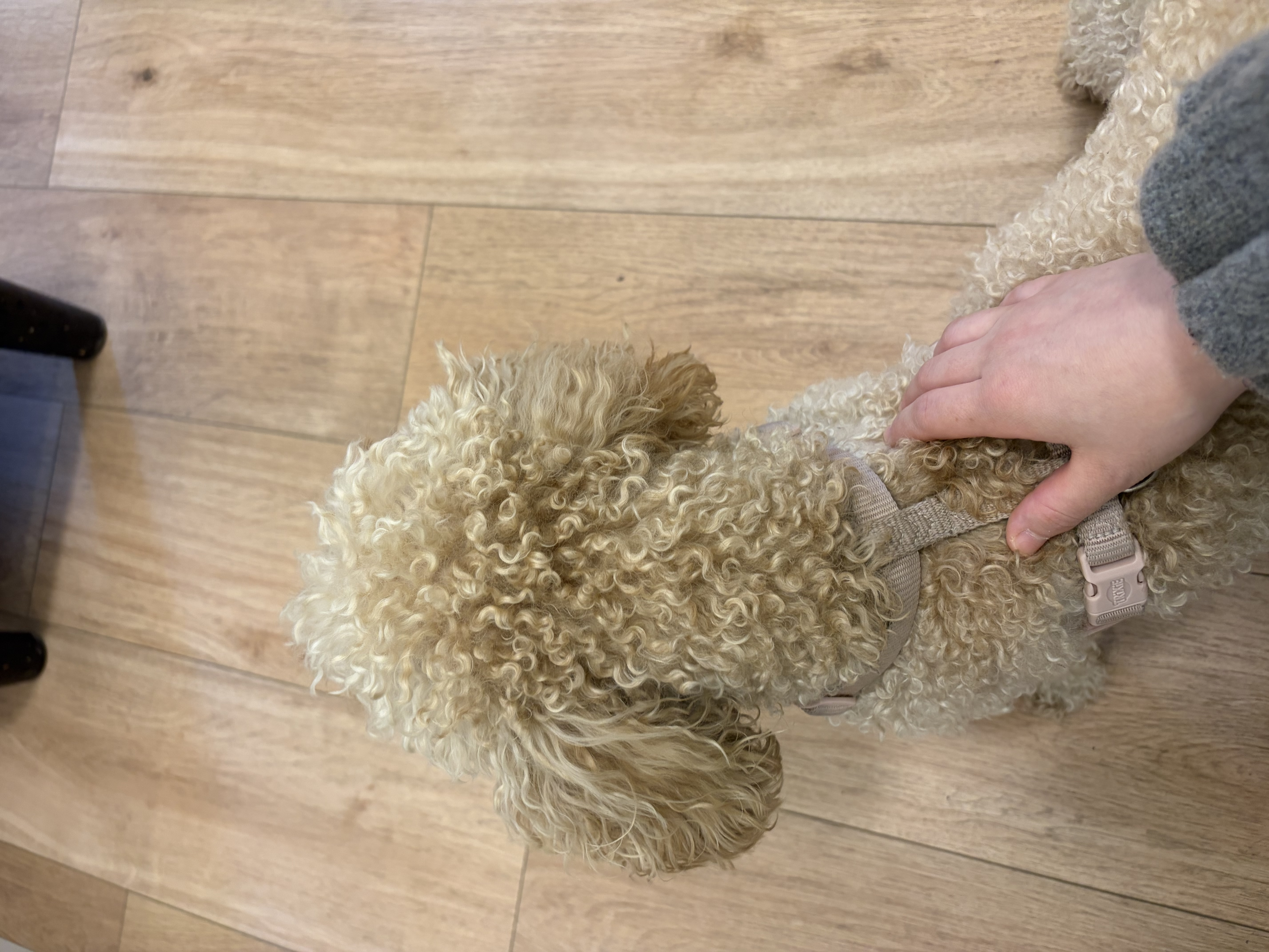 image-7