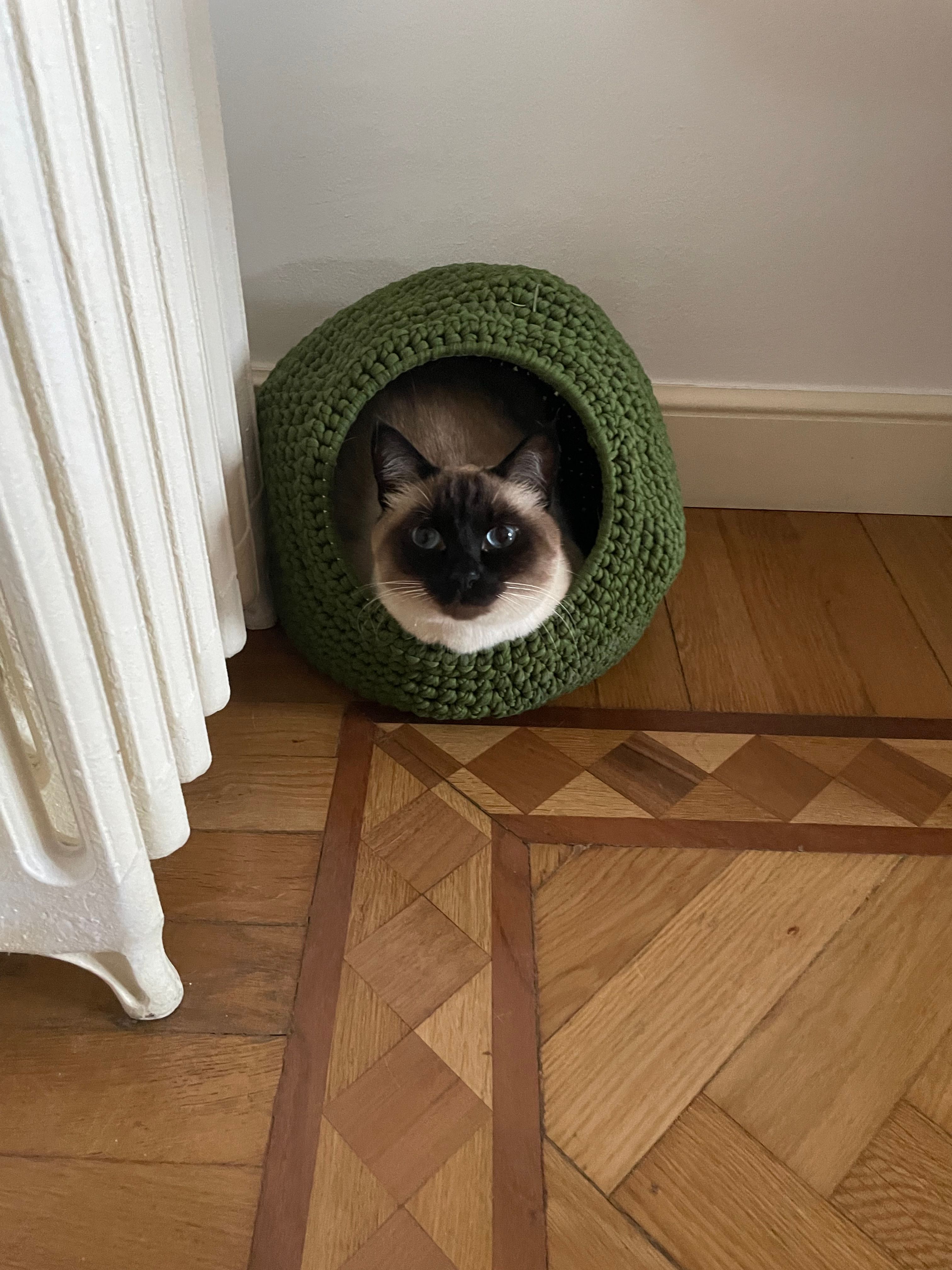 image-13
