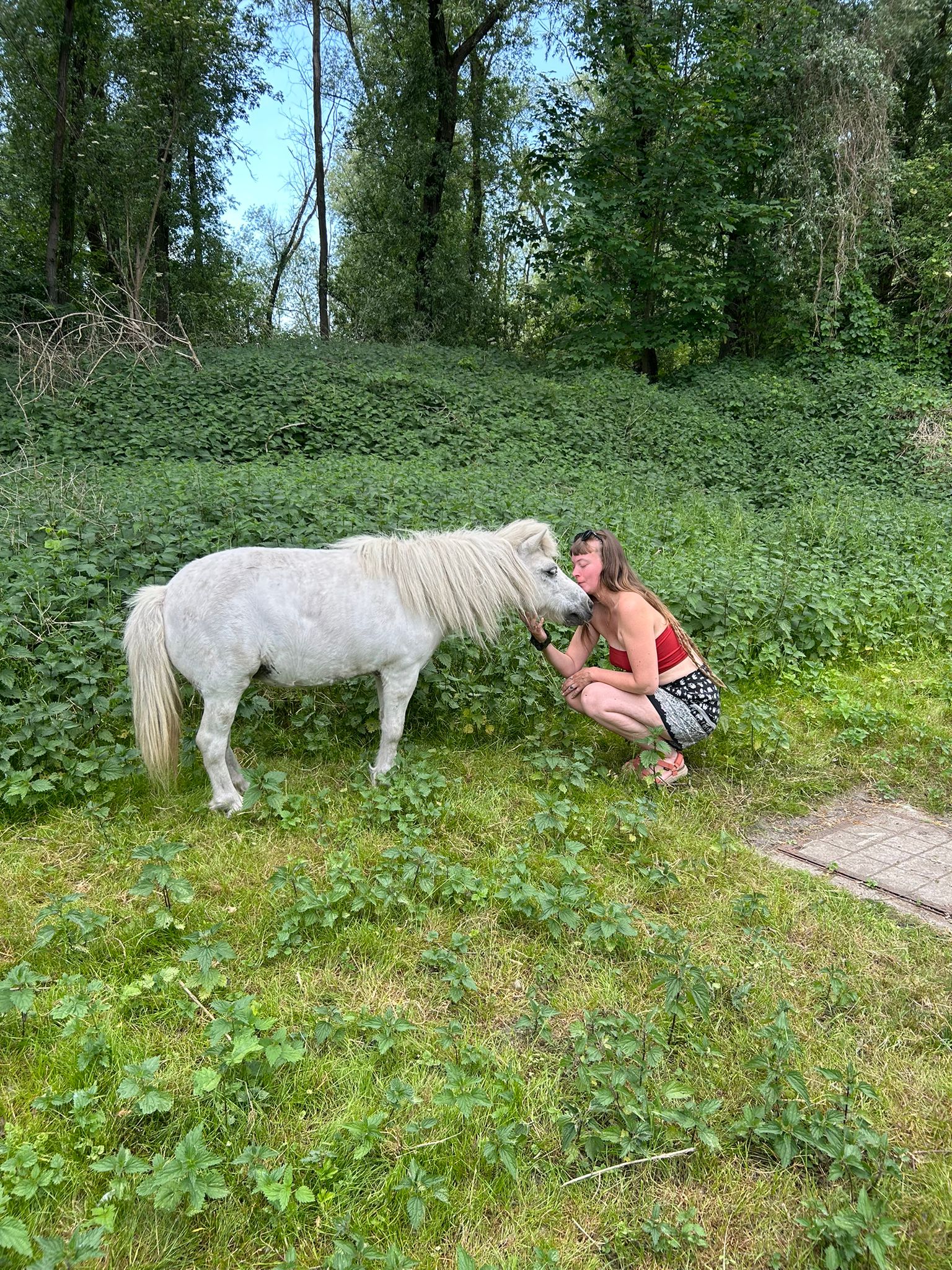 image-7