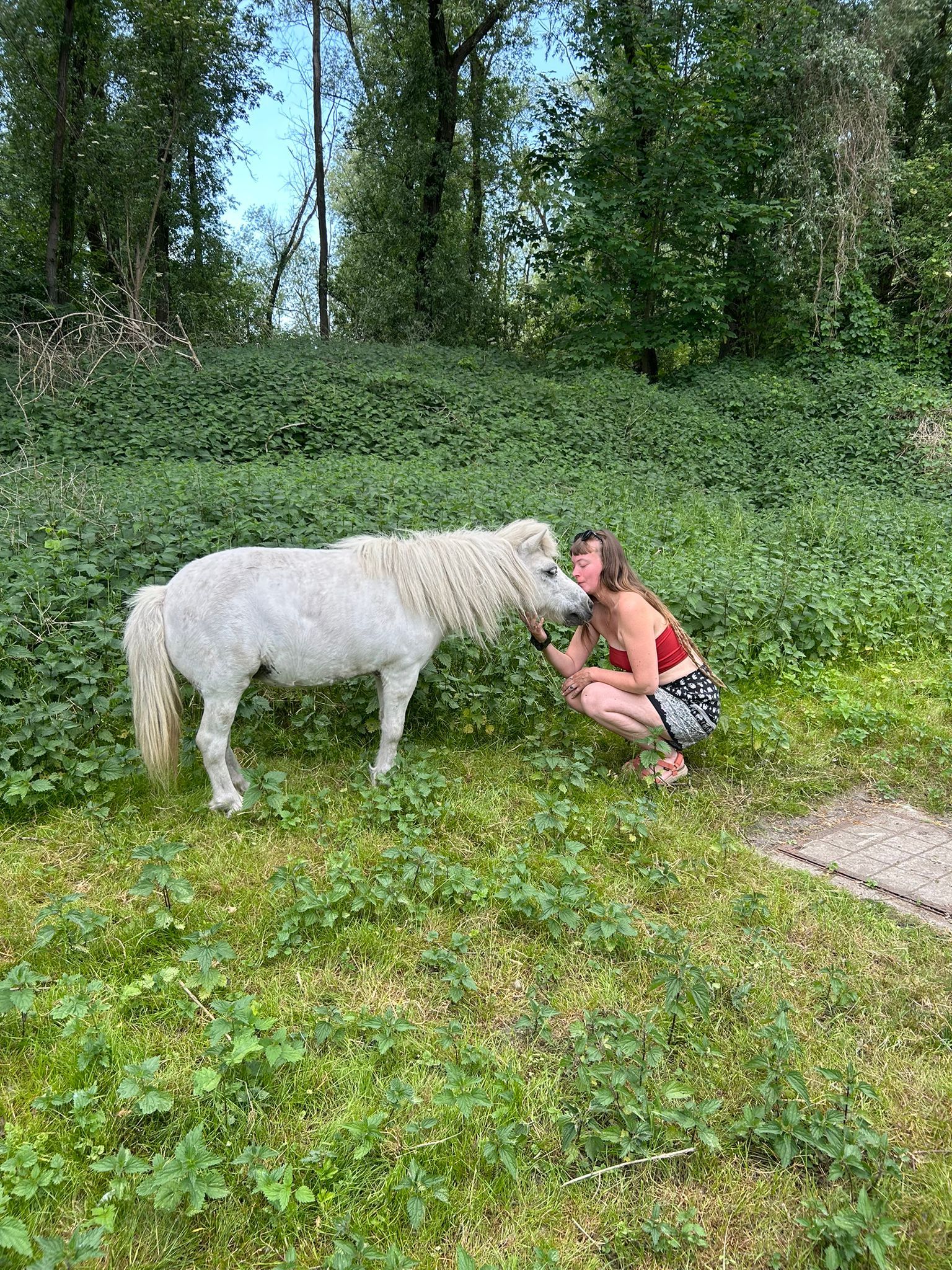 image-7
