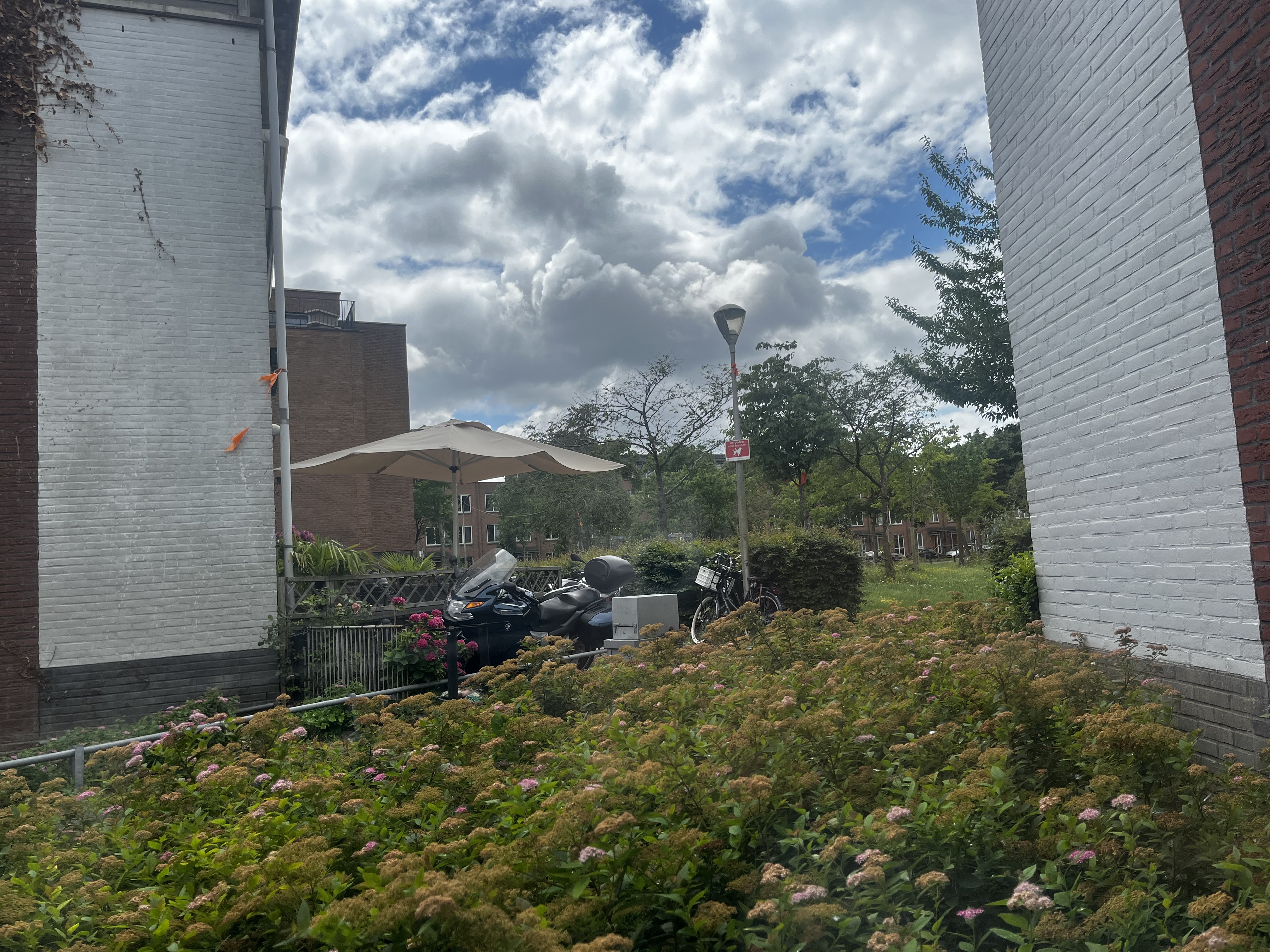 image-19