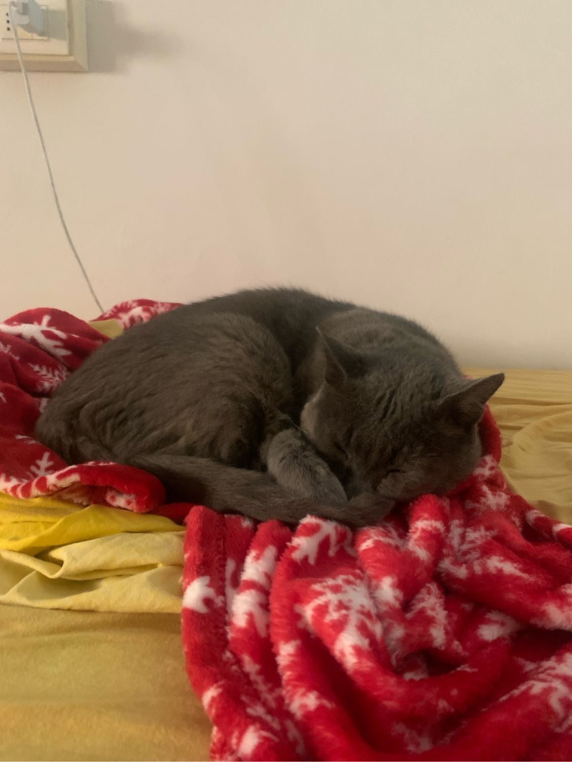 image-8