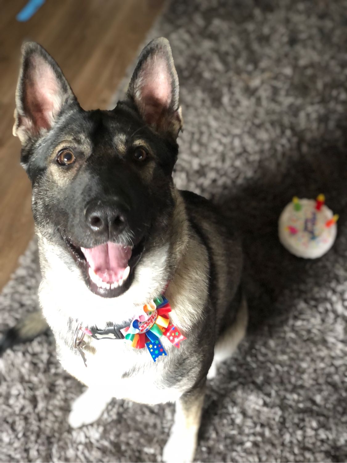 image-1