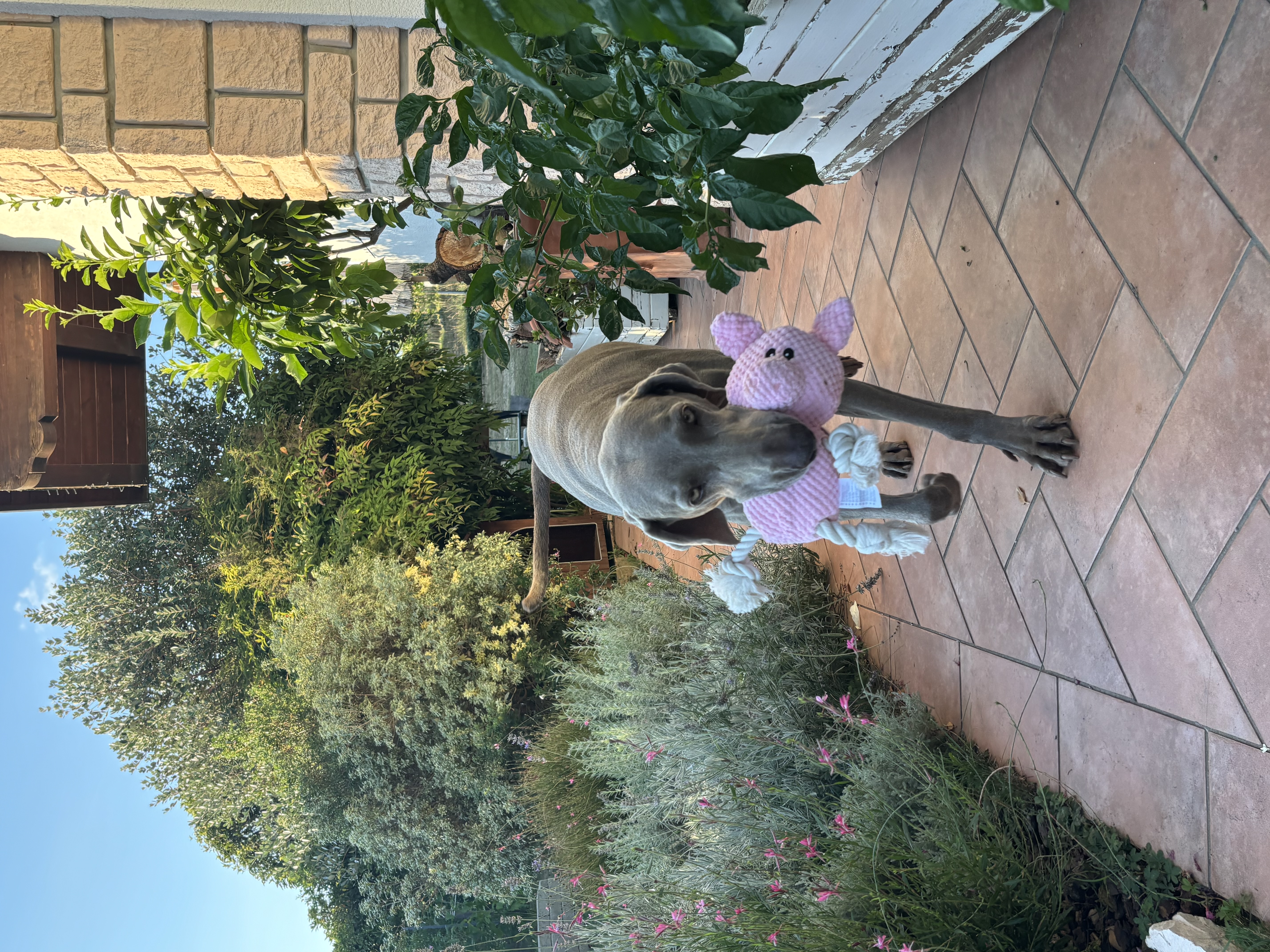 image-8
