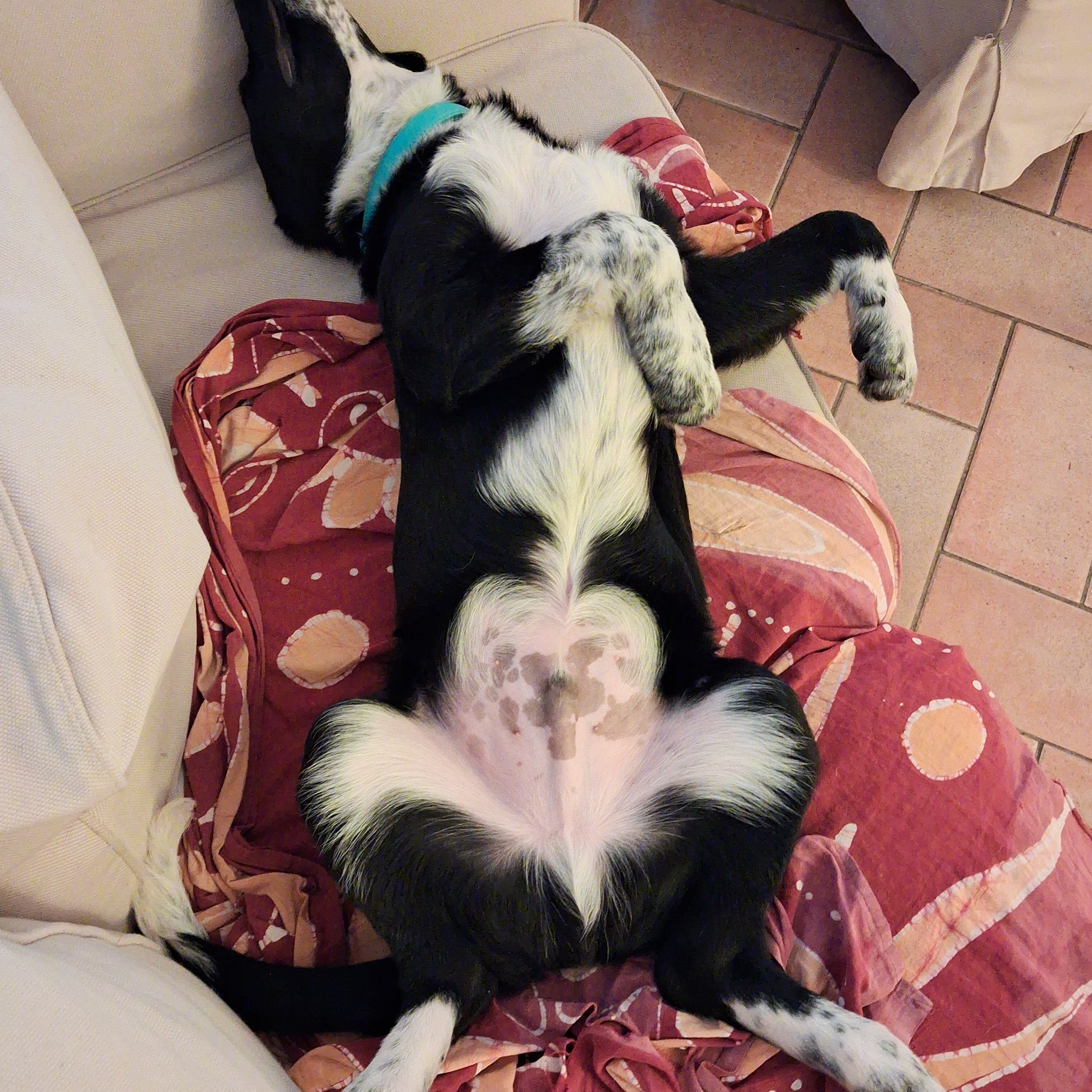 roberto