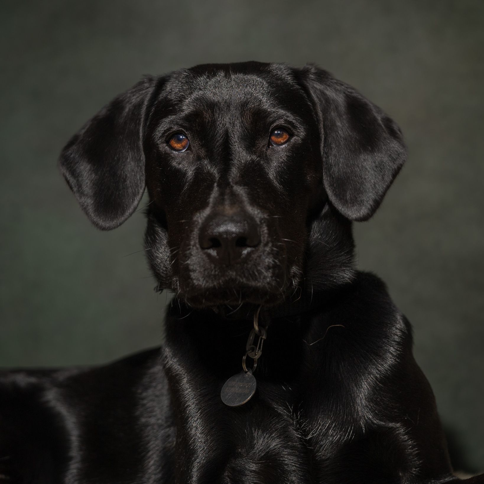 Bruno