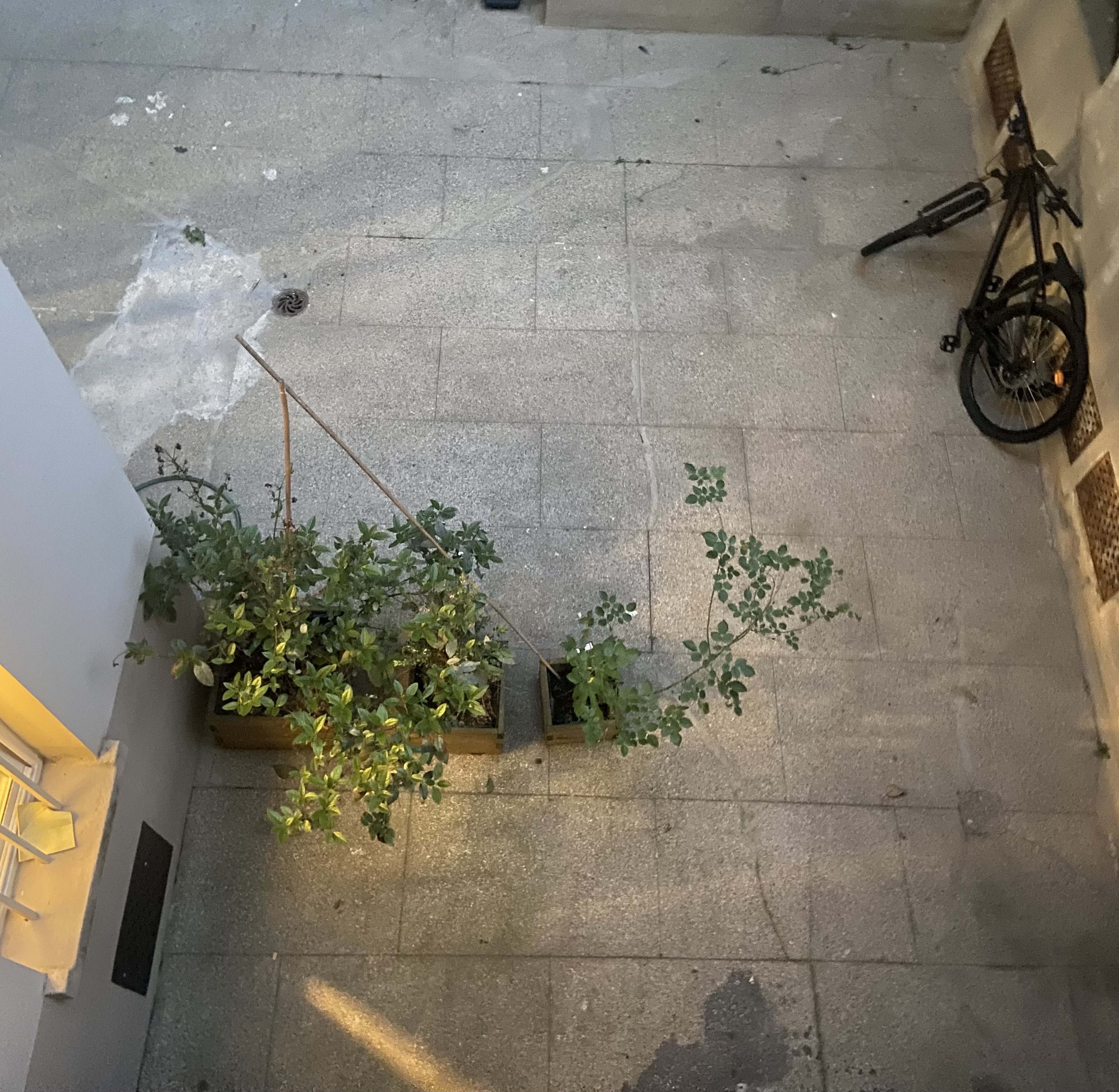 image-18