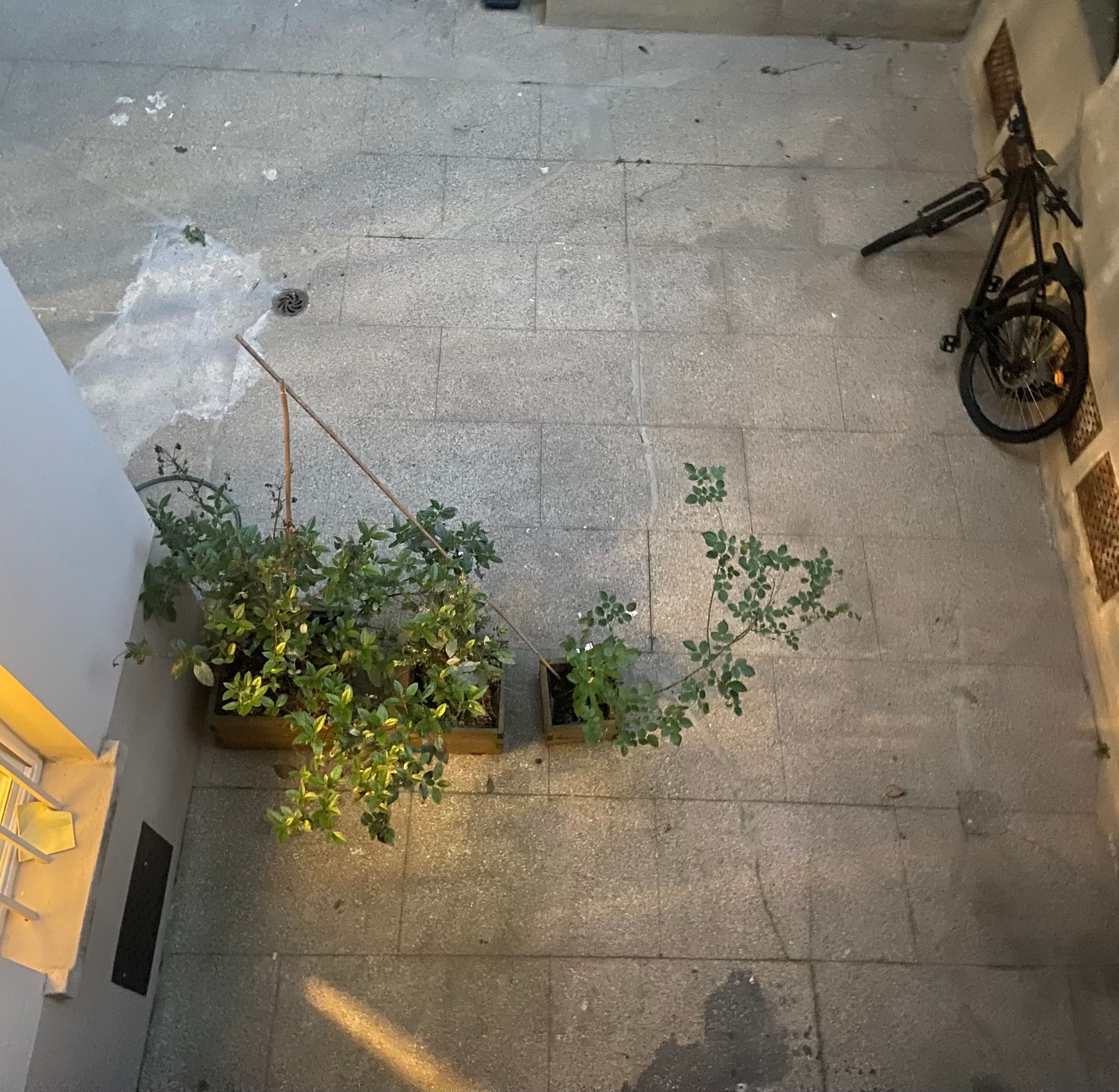 image-18