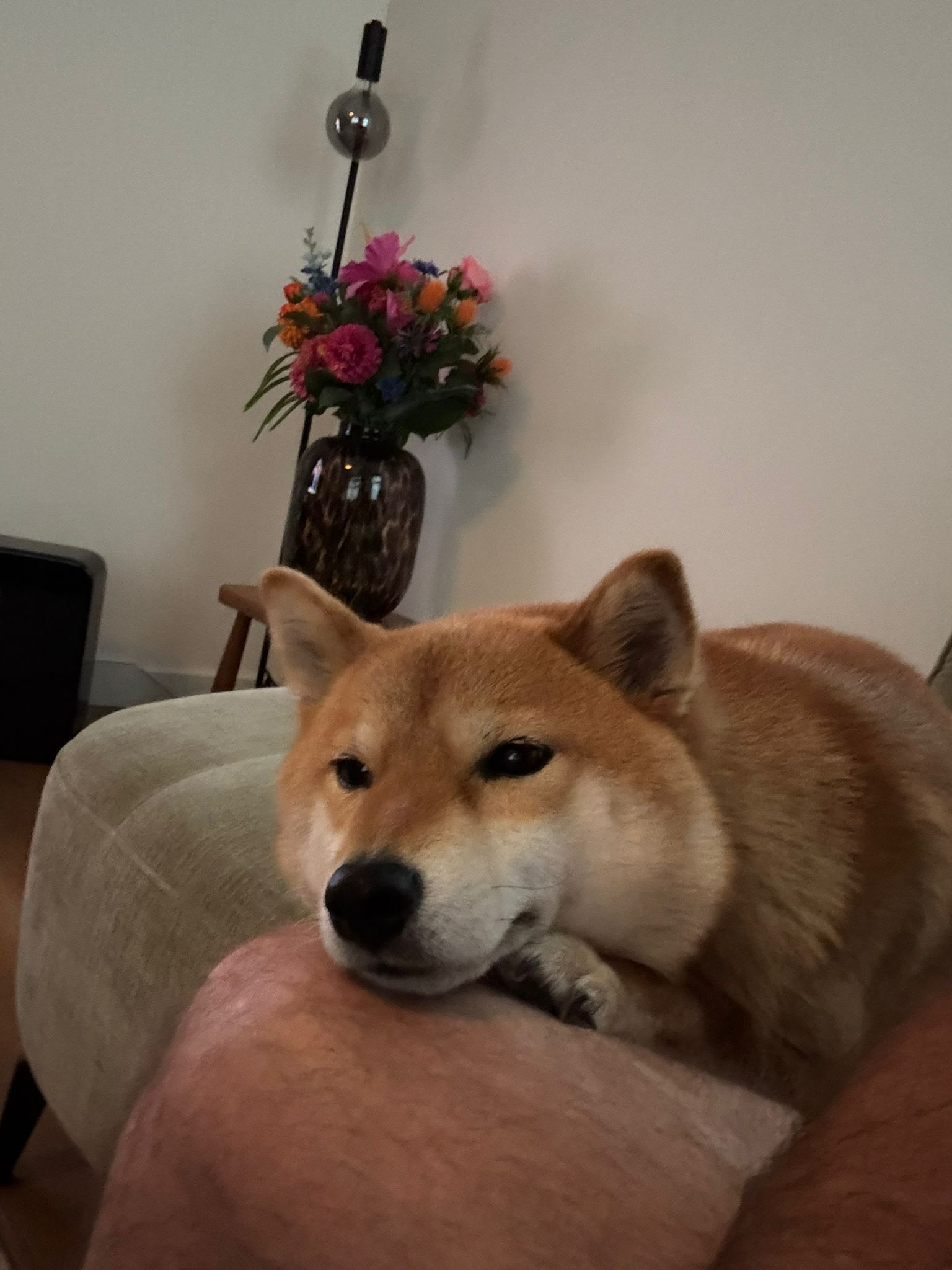 image-5