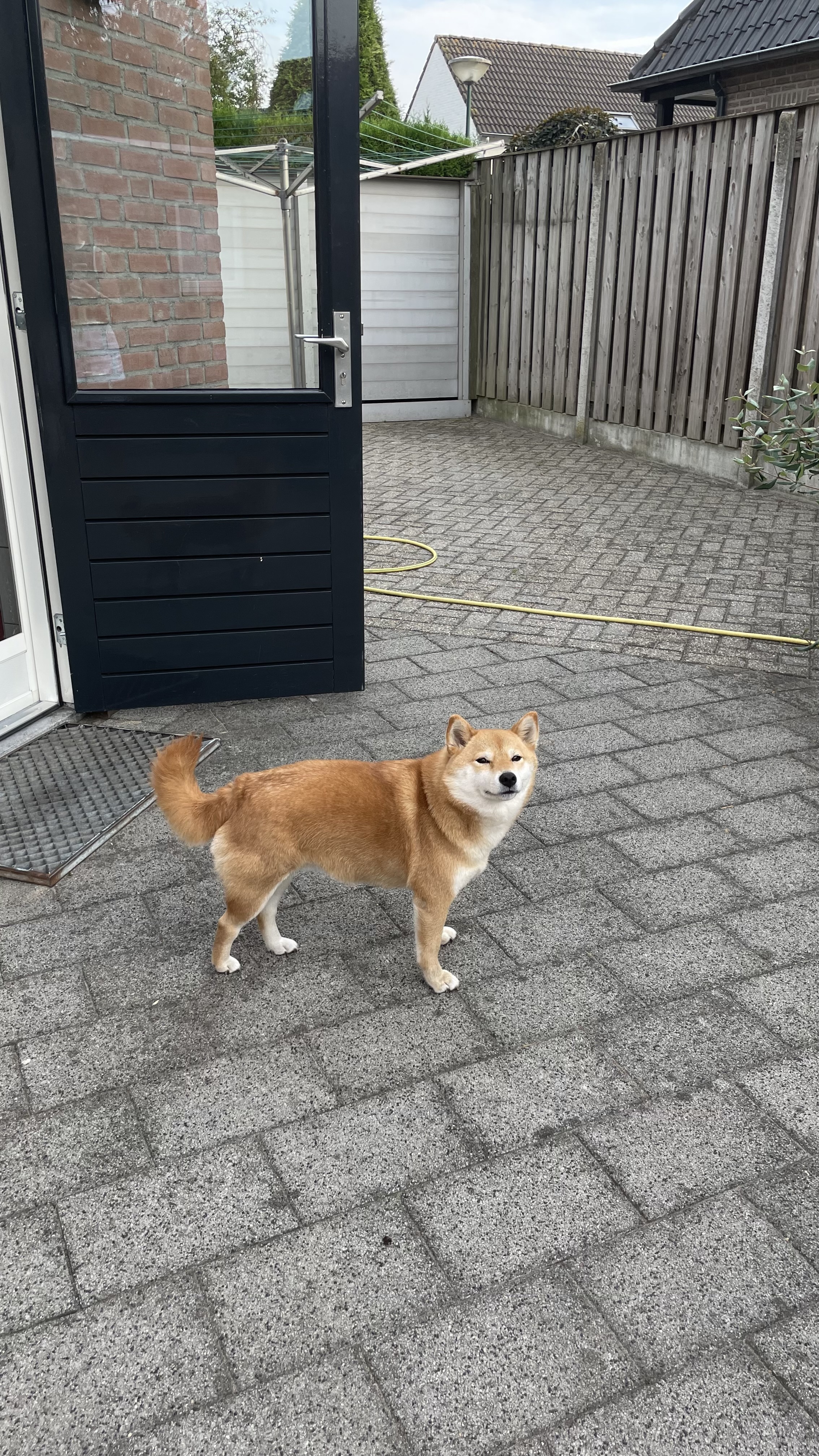 image-10
