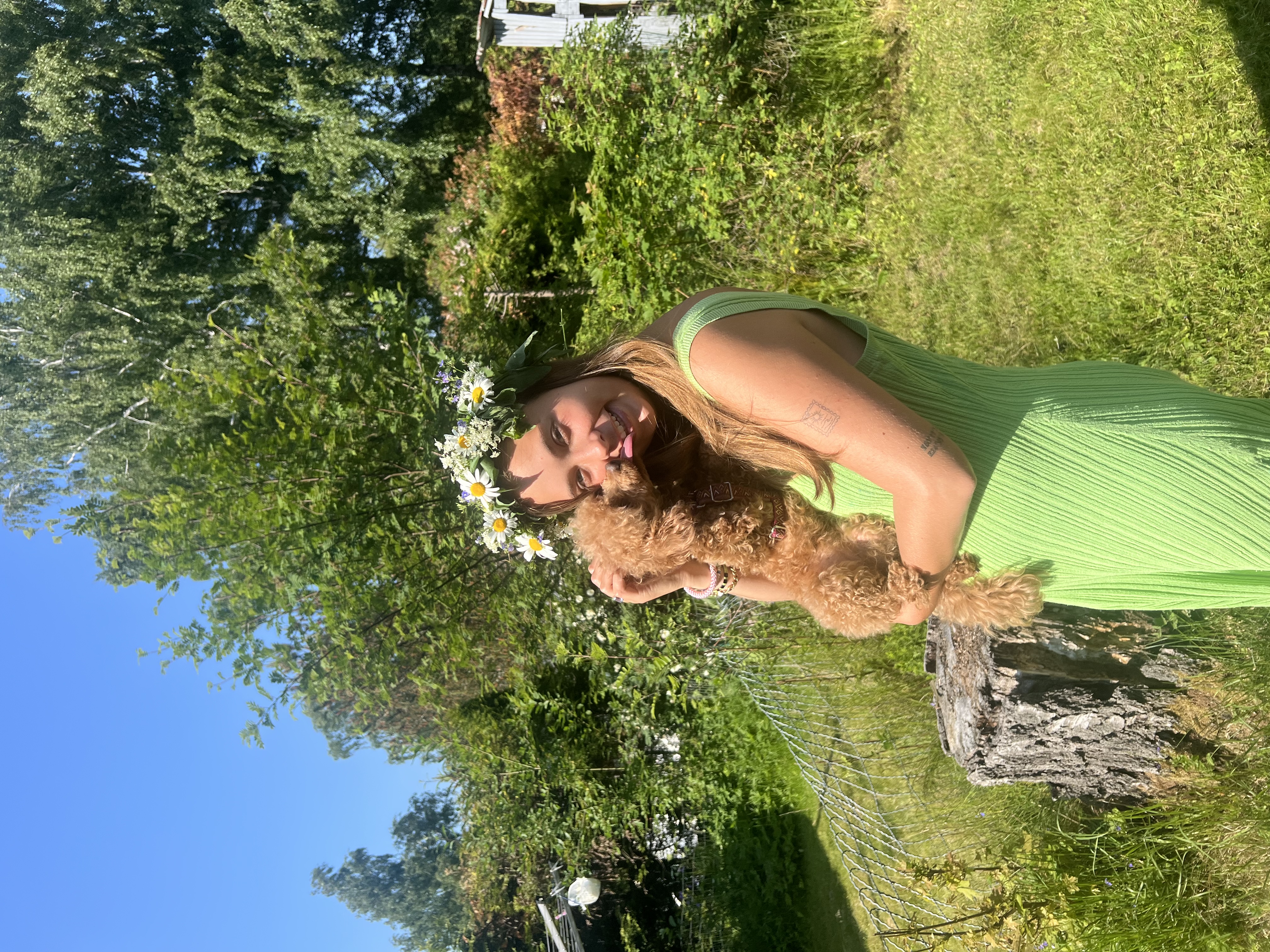 image-7