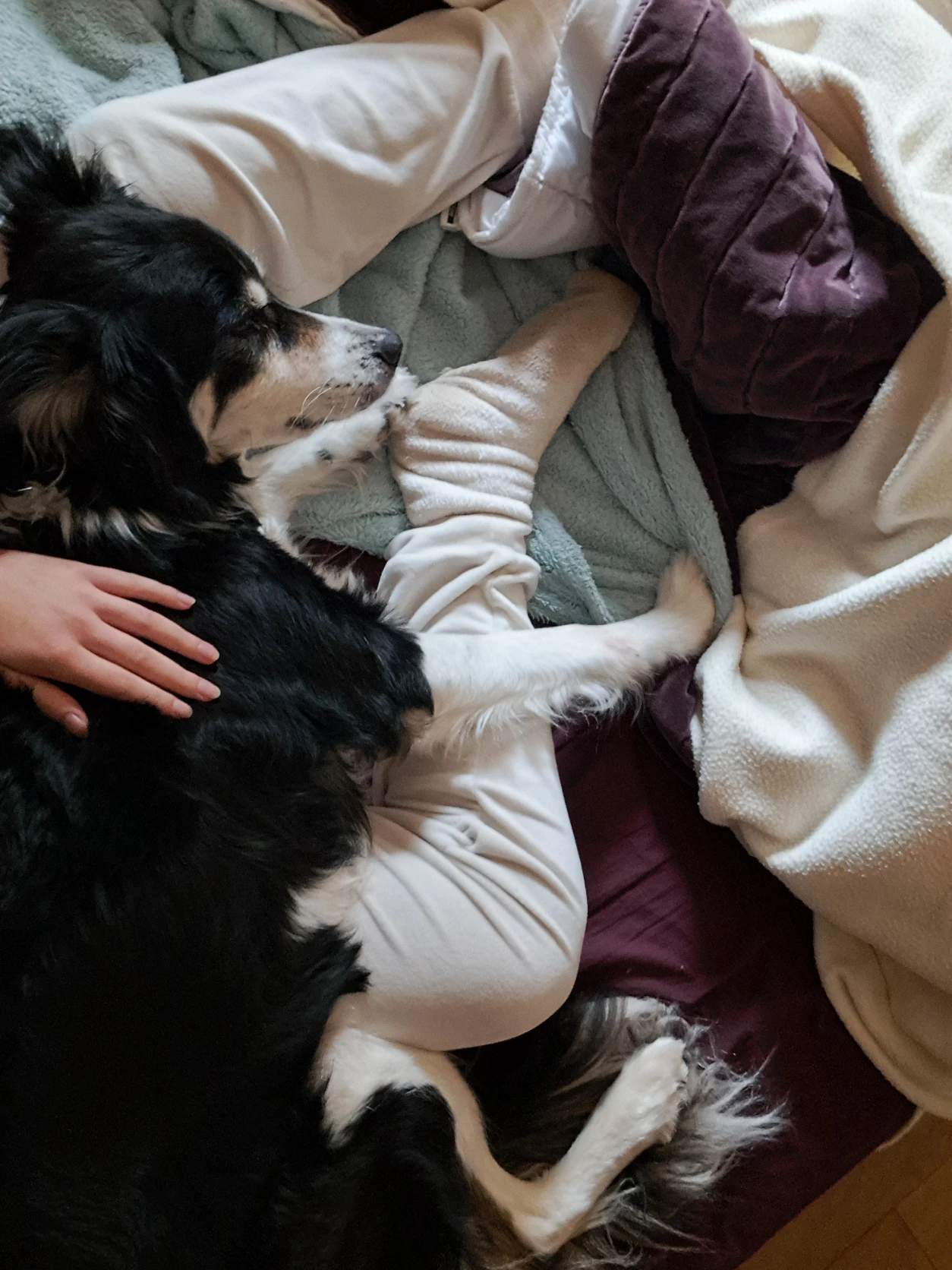image-8