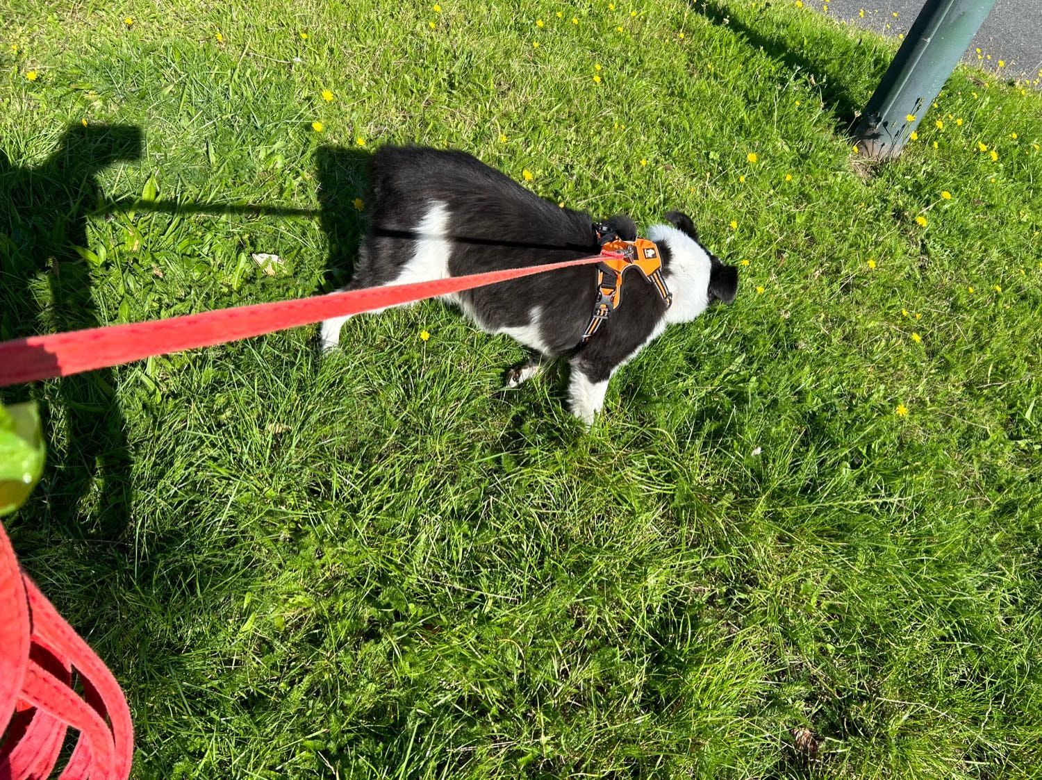 image-5