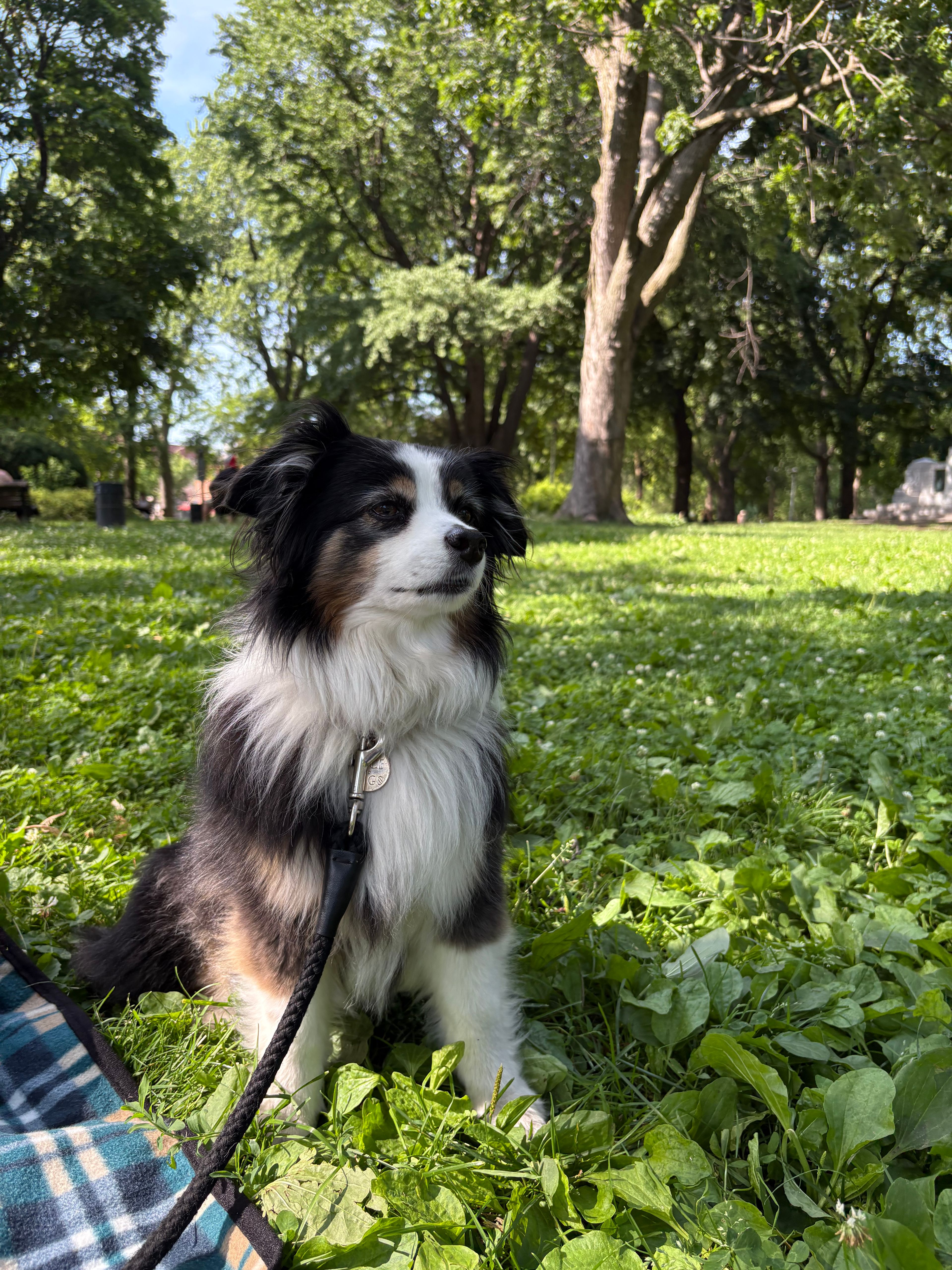 image-9