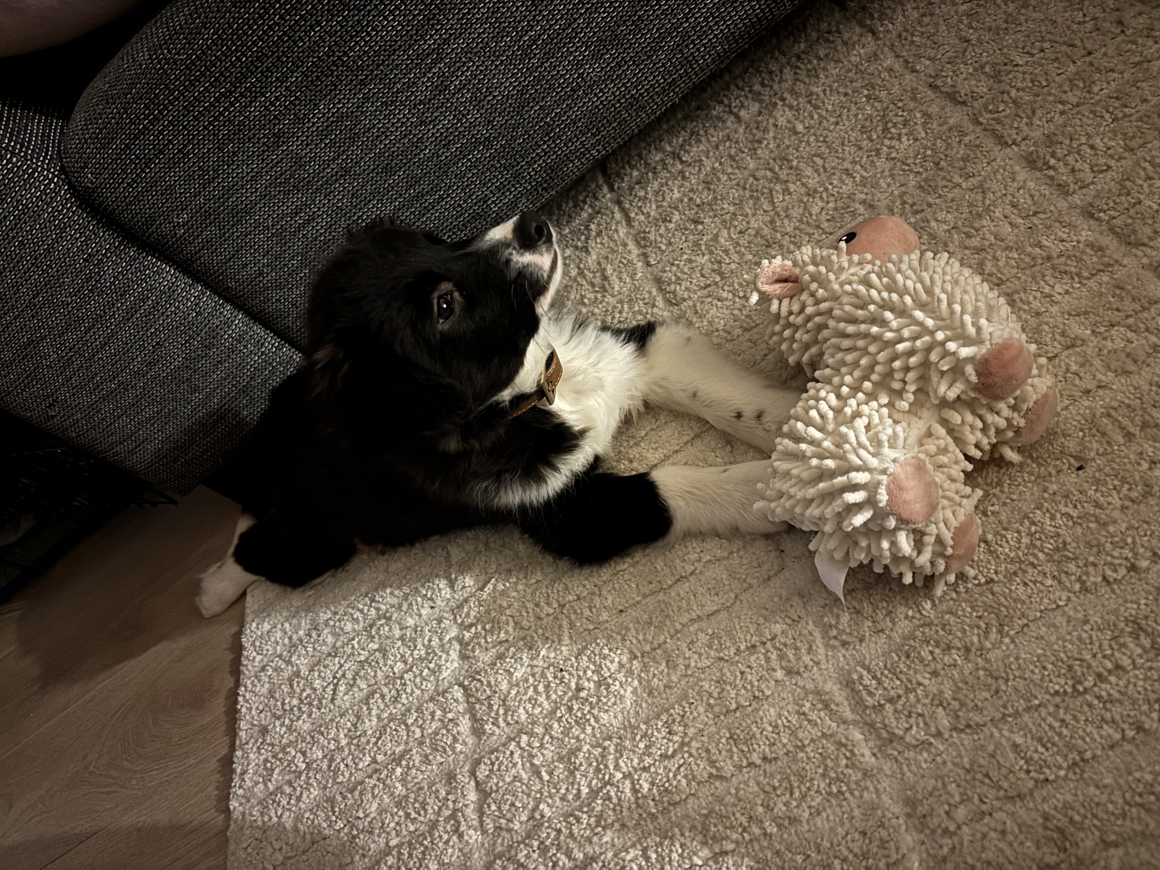 image-10