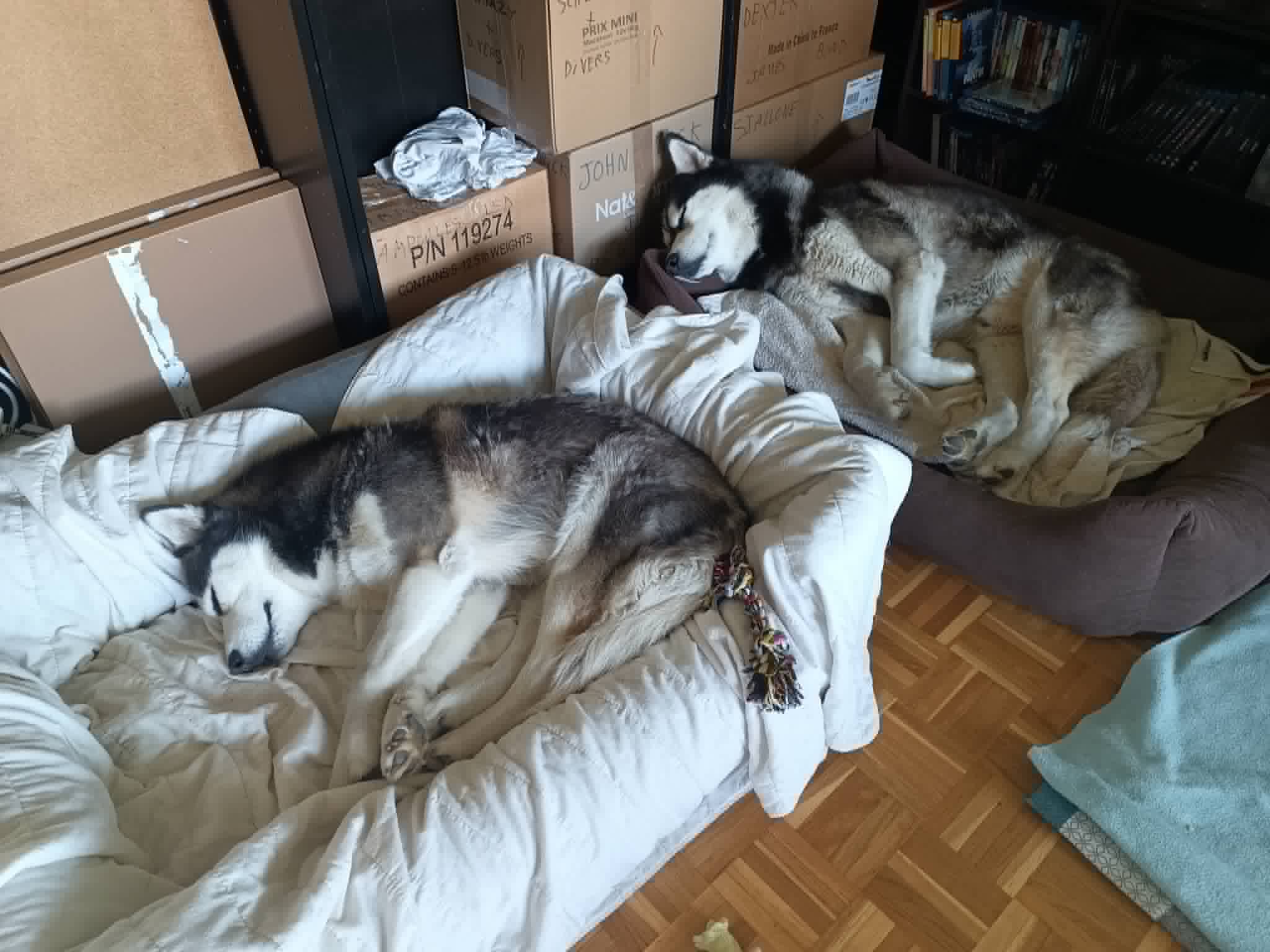 image-31