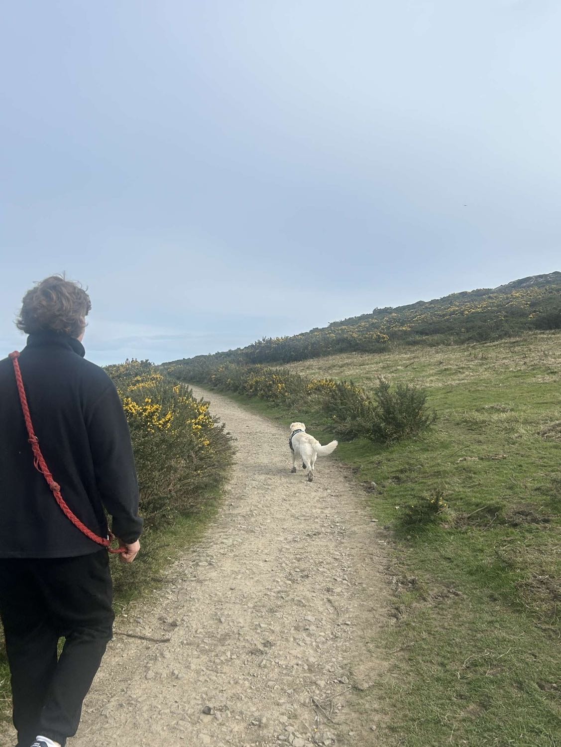 image-7