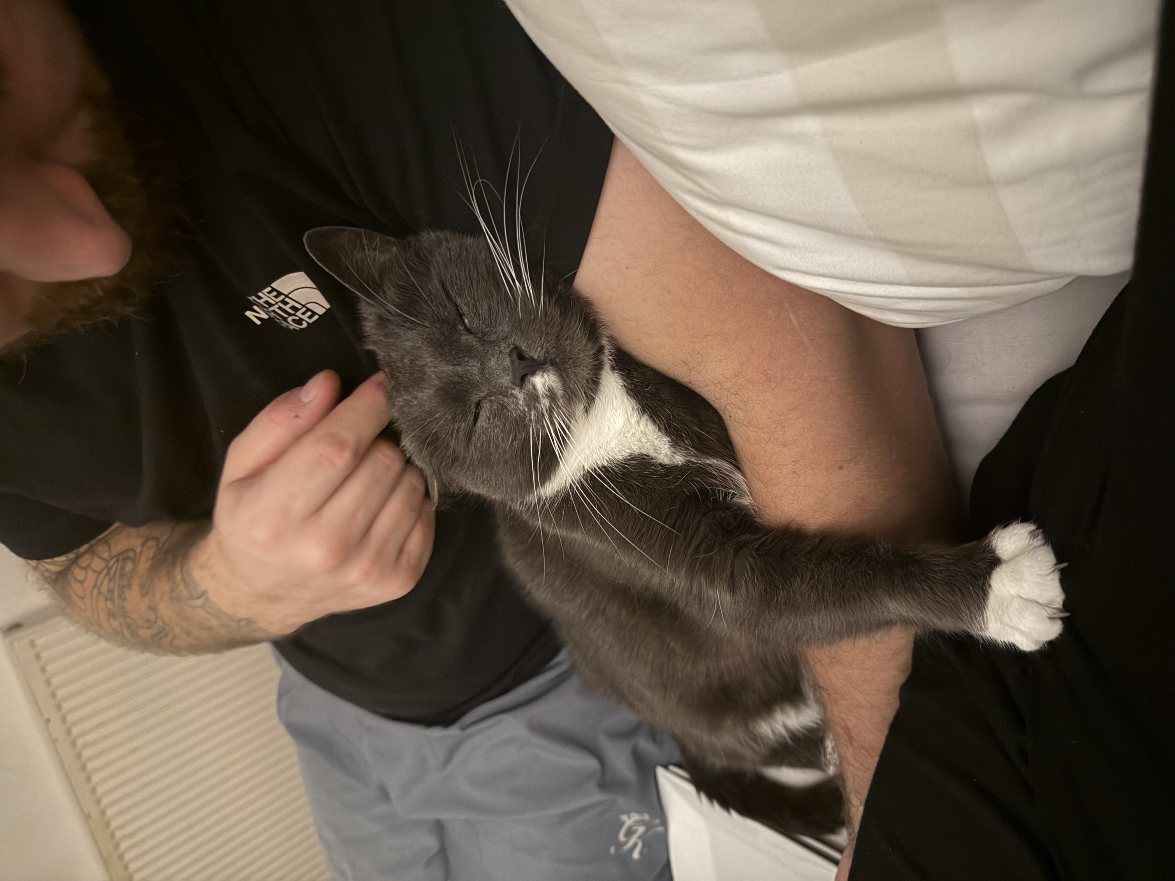 image-6