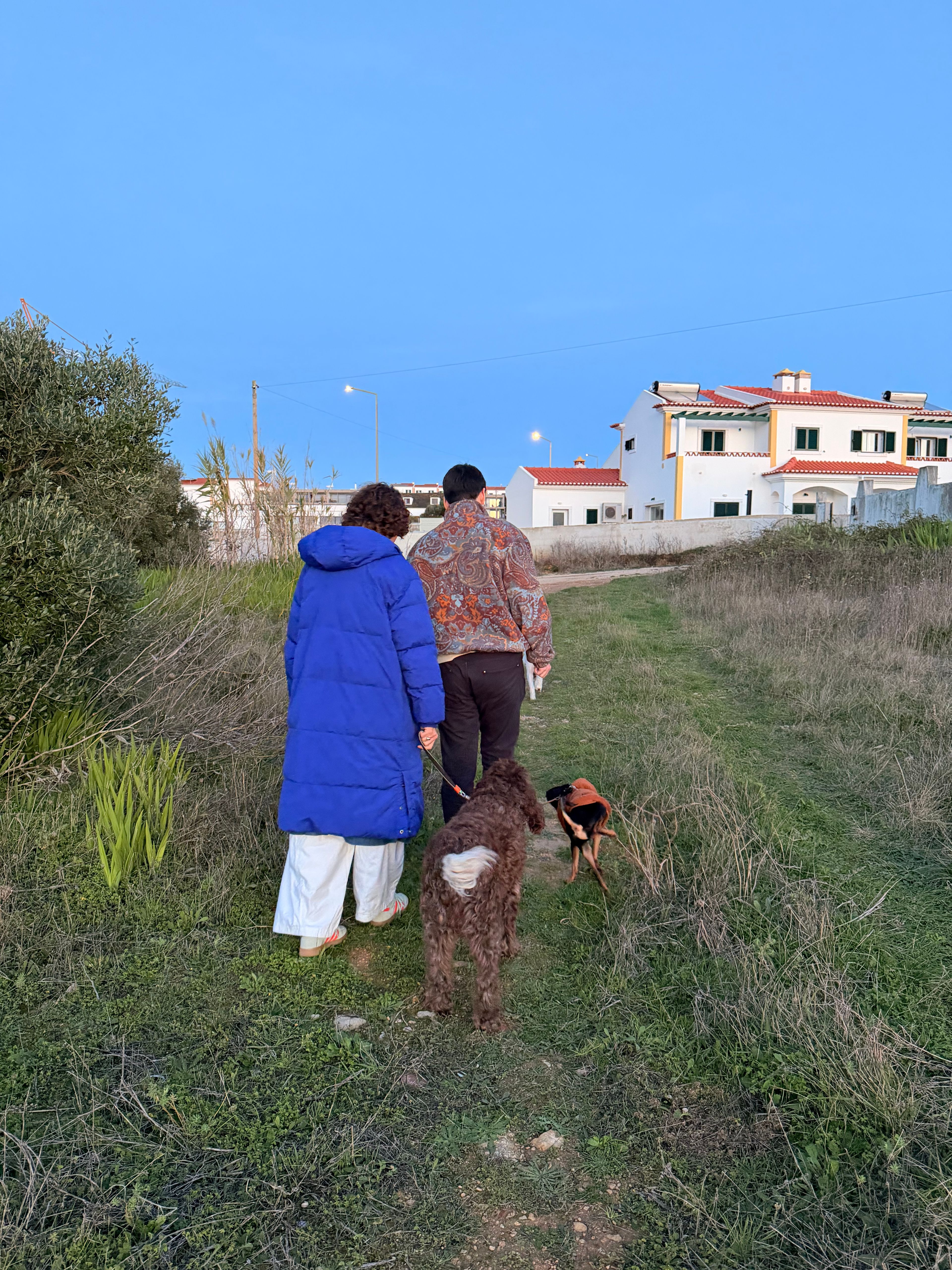 image-9