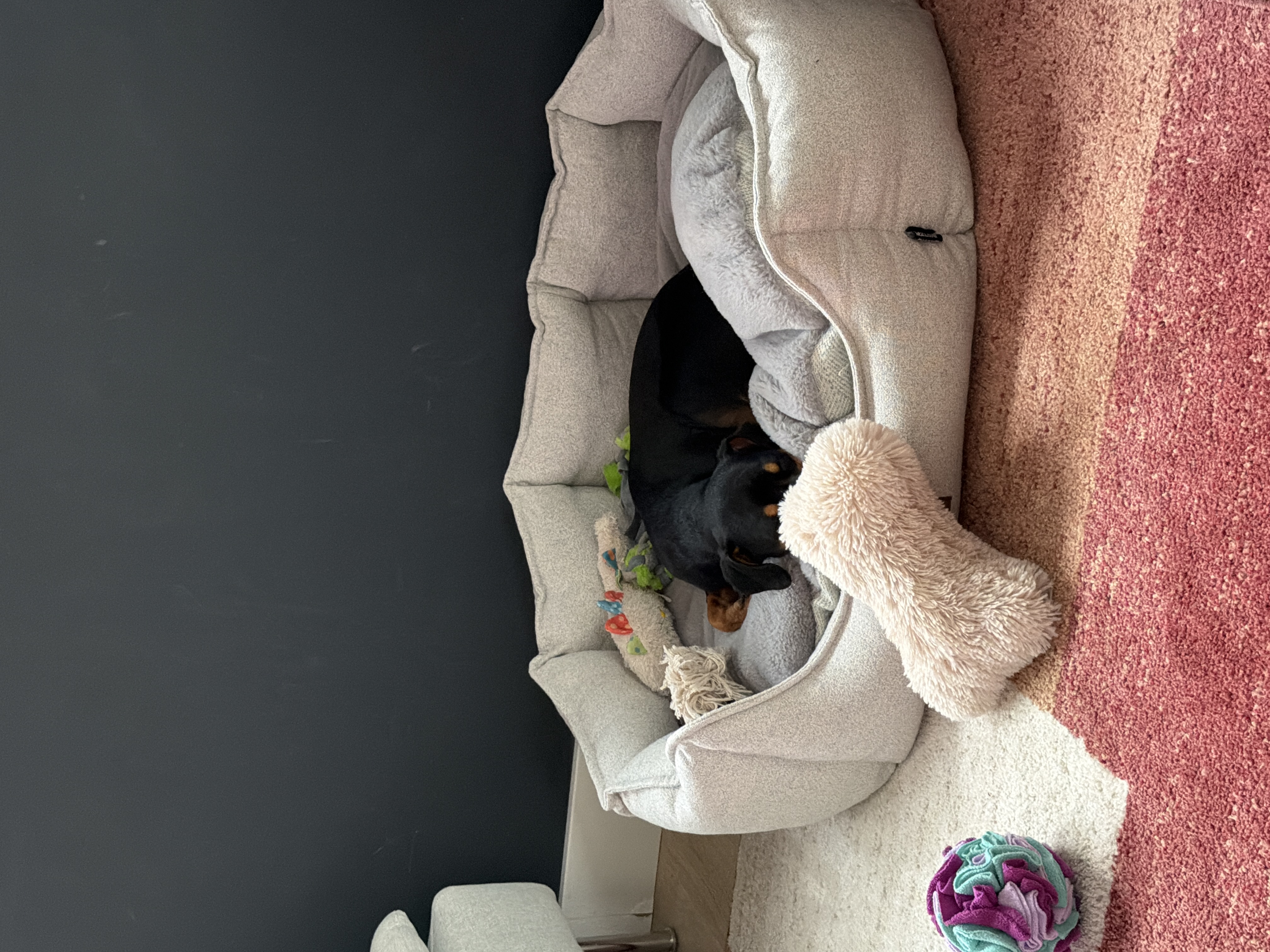 image-12