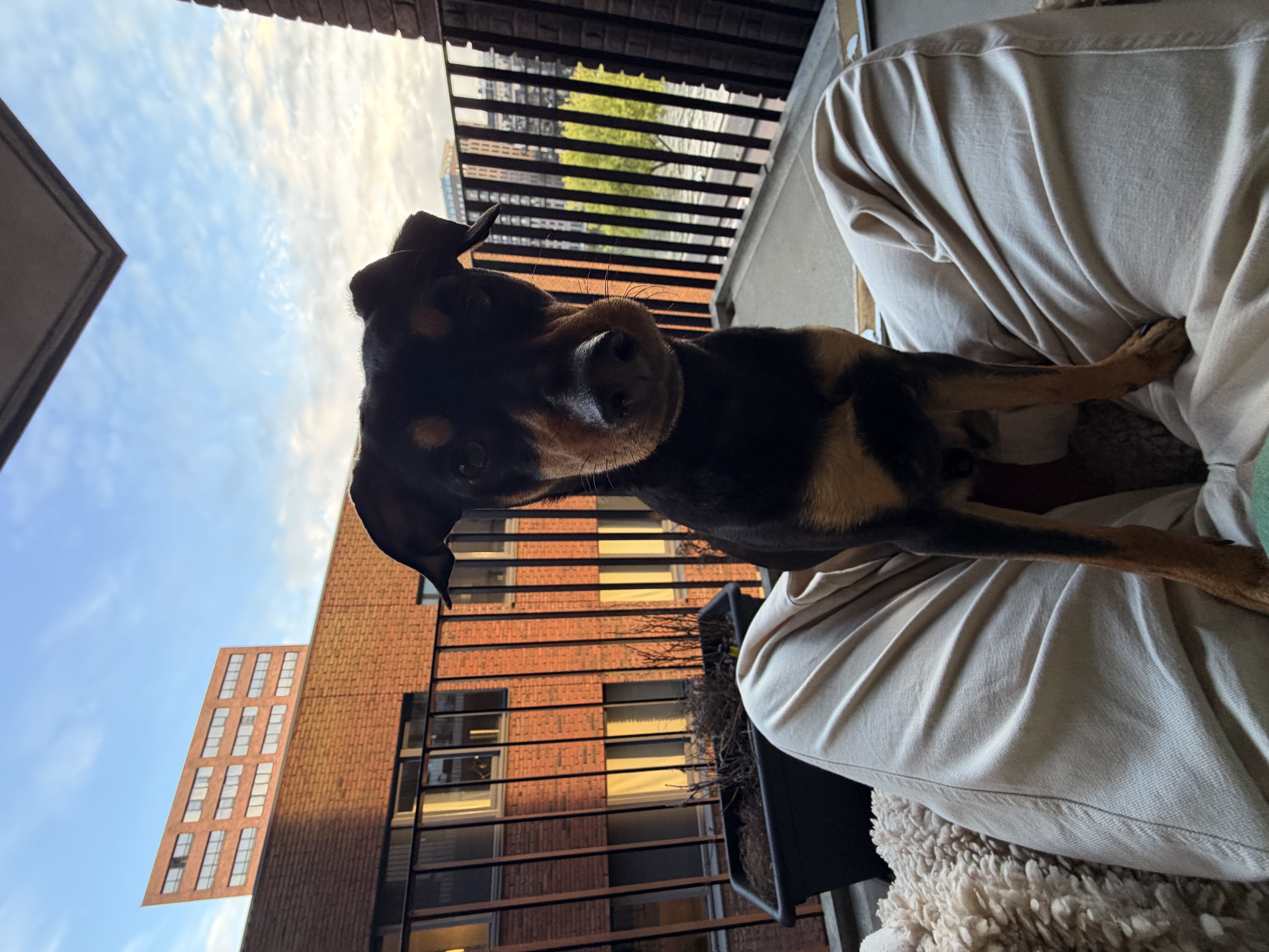 image-7