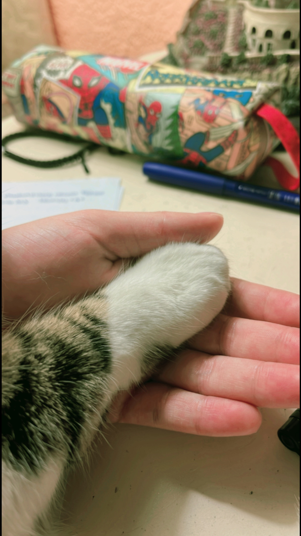 image-6