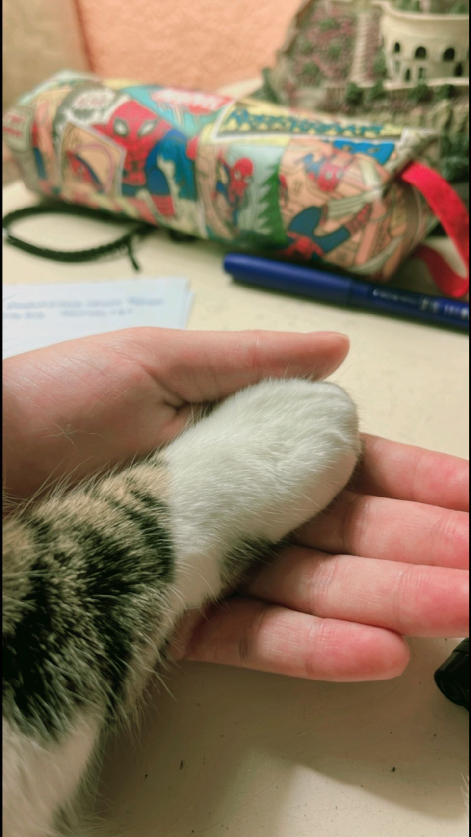 image-6