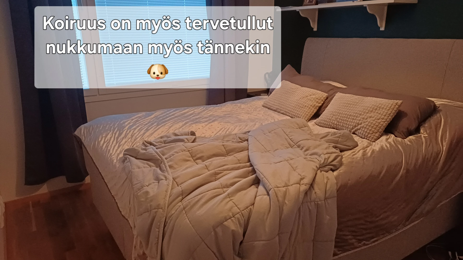 image-14