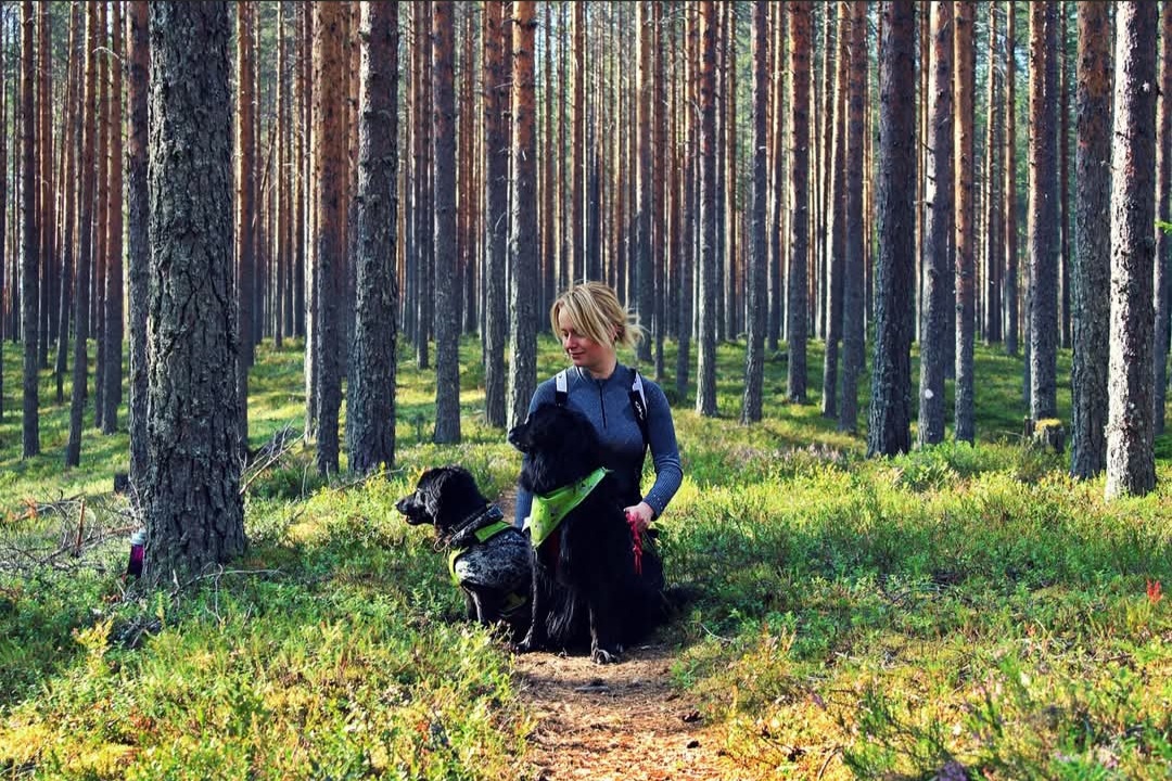 image-0