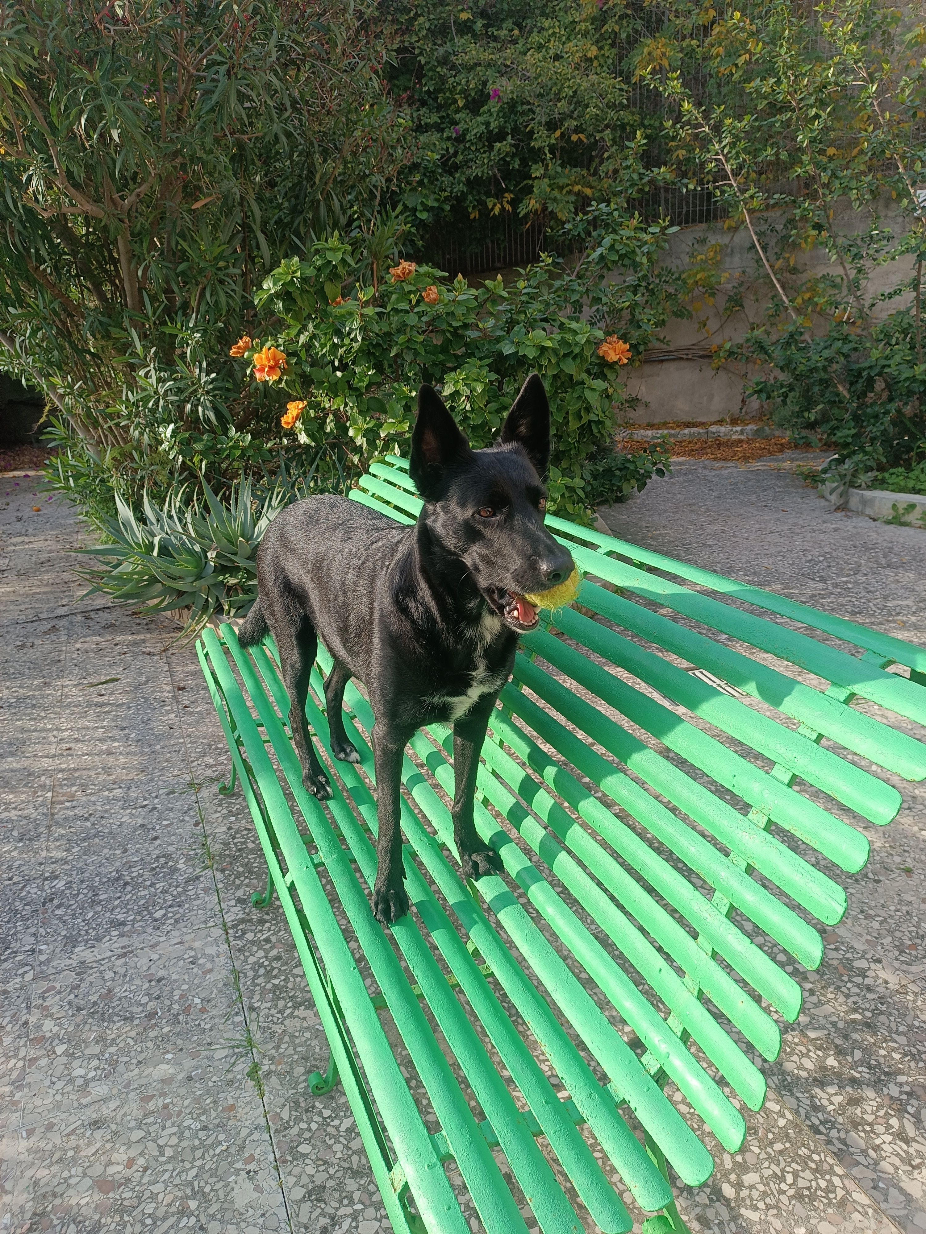 image-5
