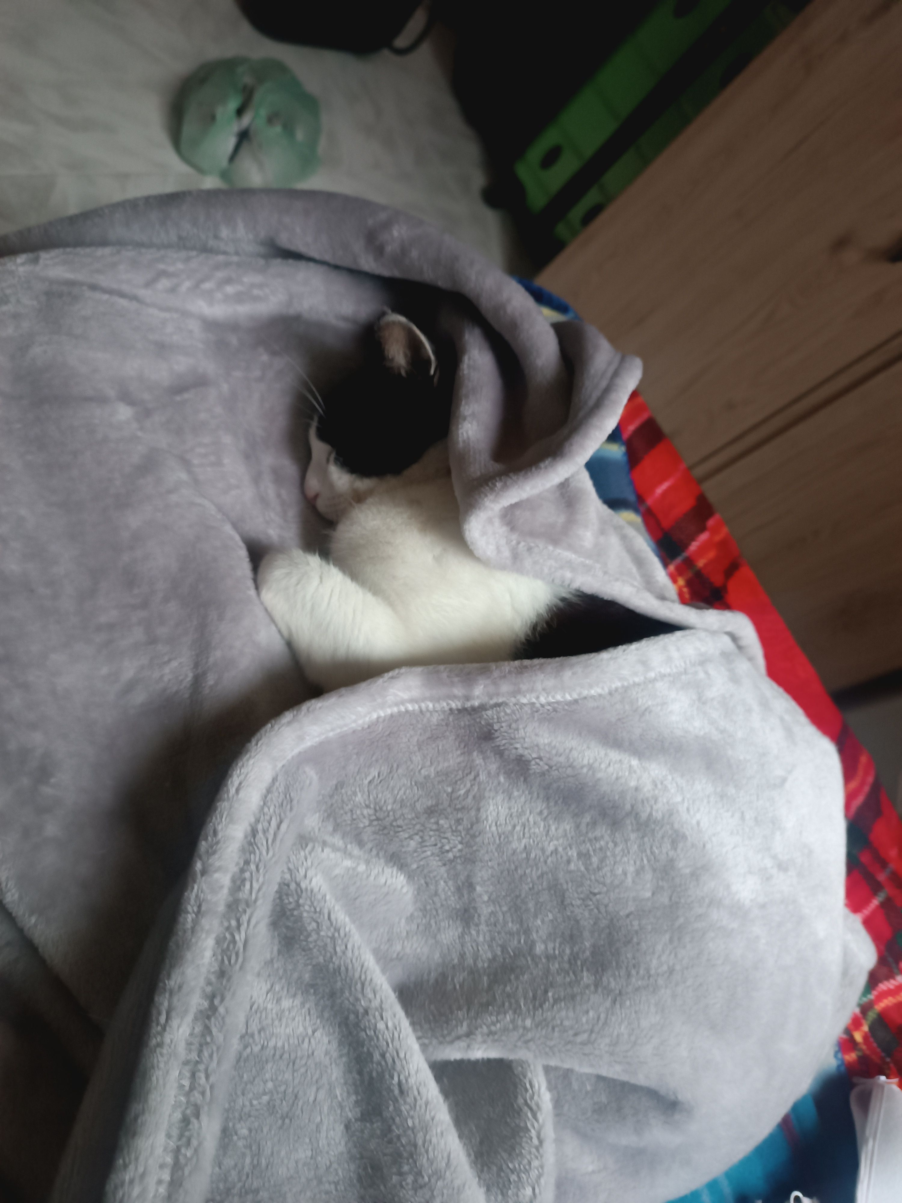 image-8