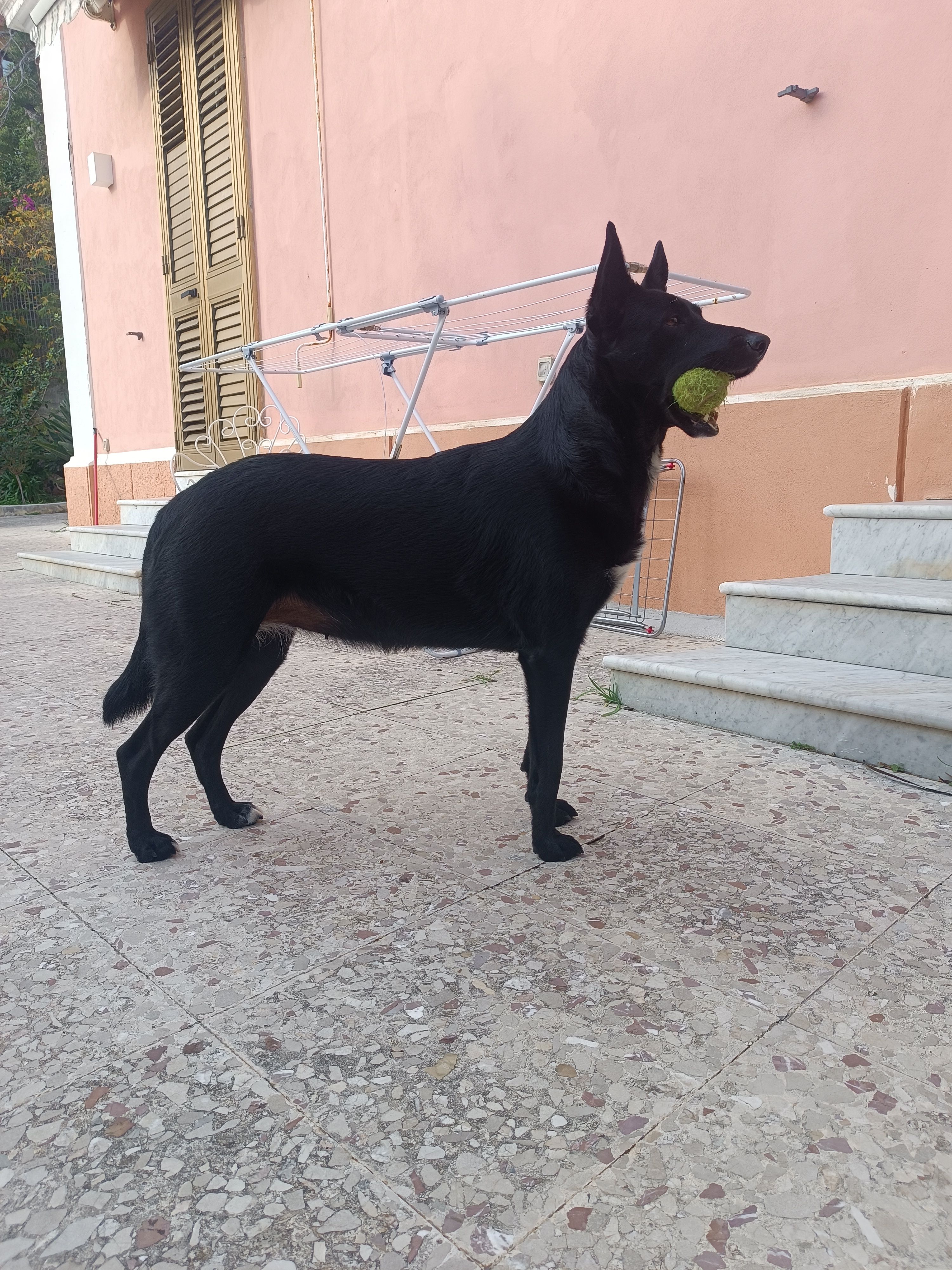 image-28