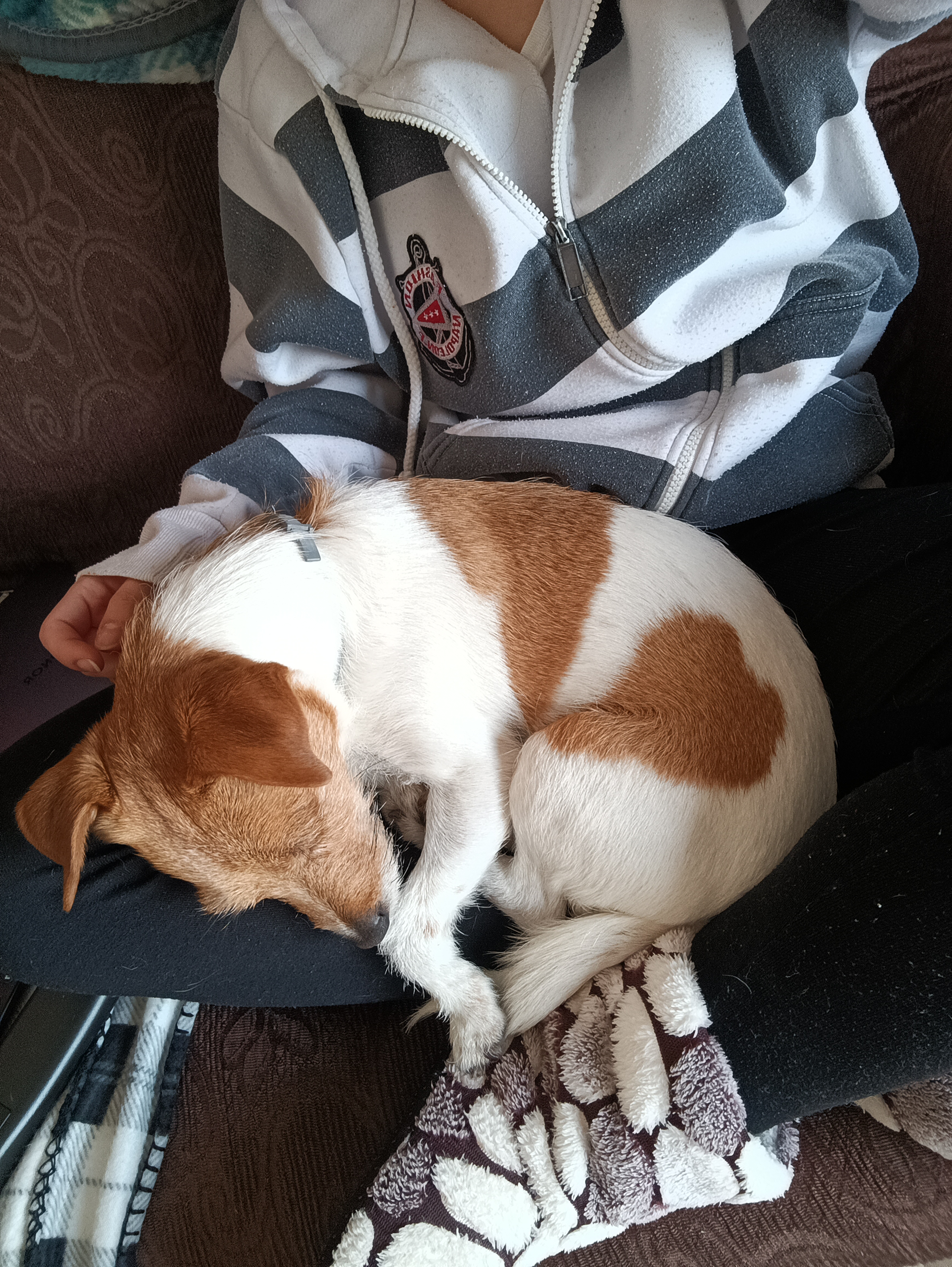 image-20