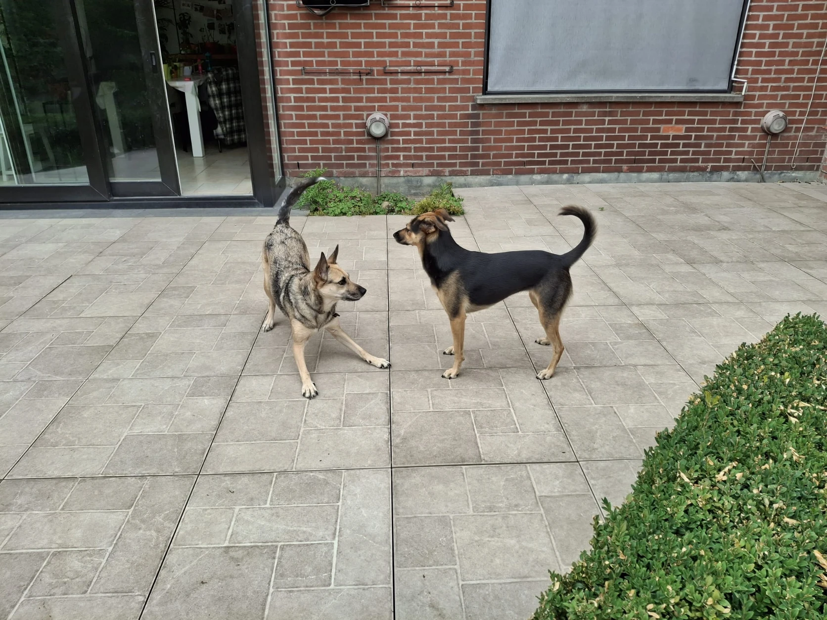 image-20