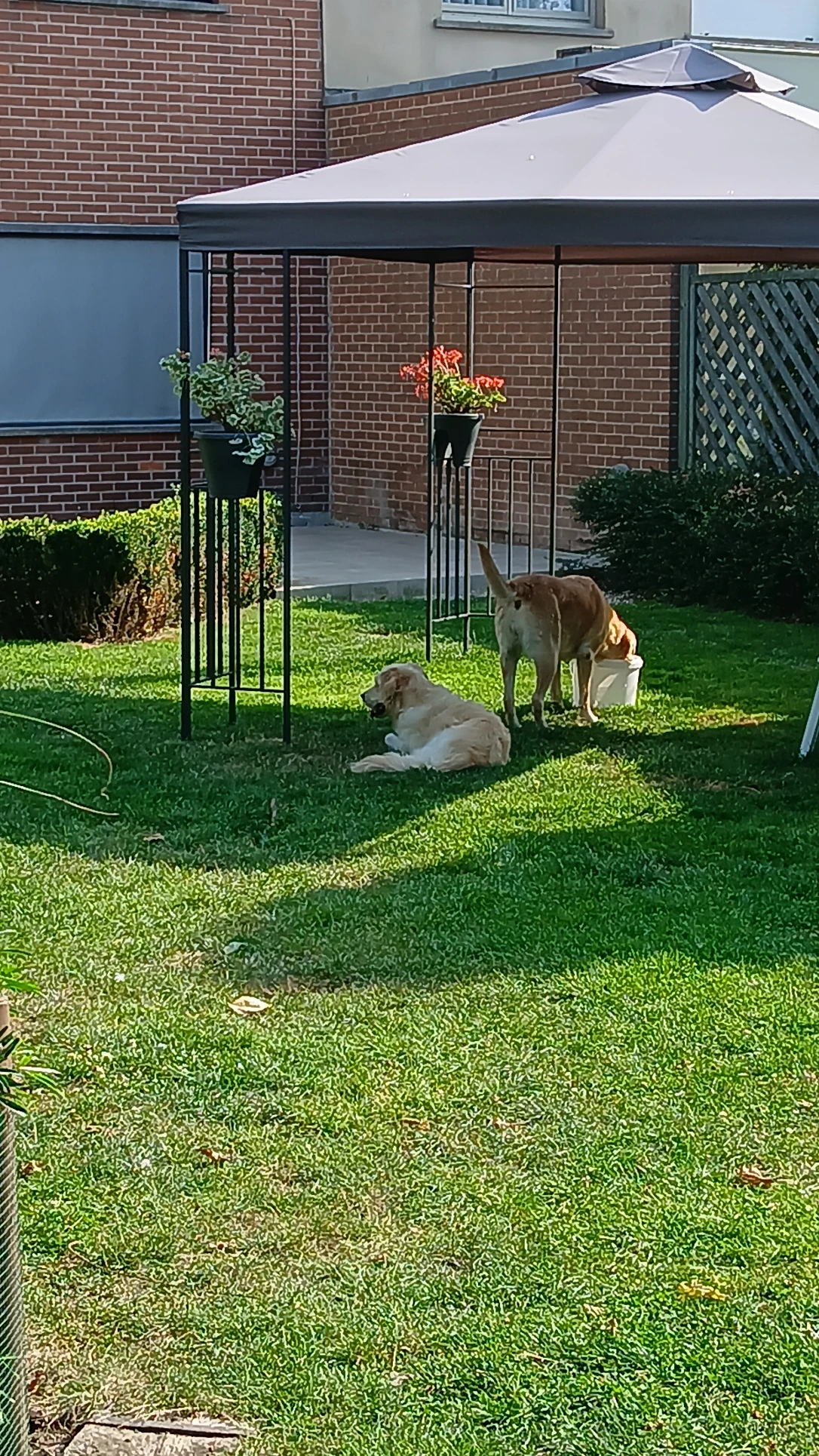 image-18