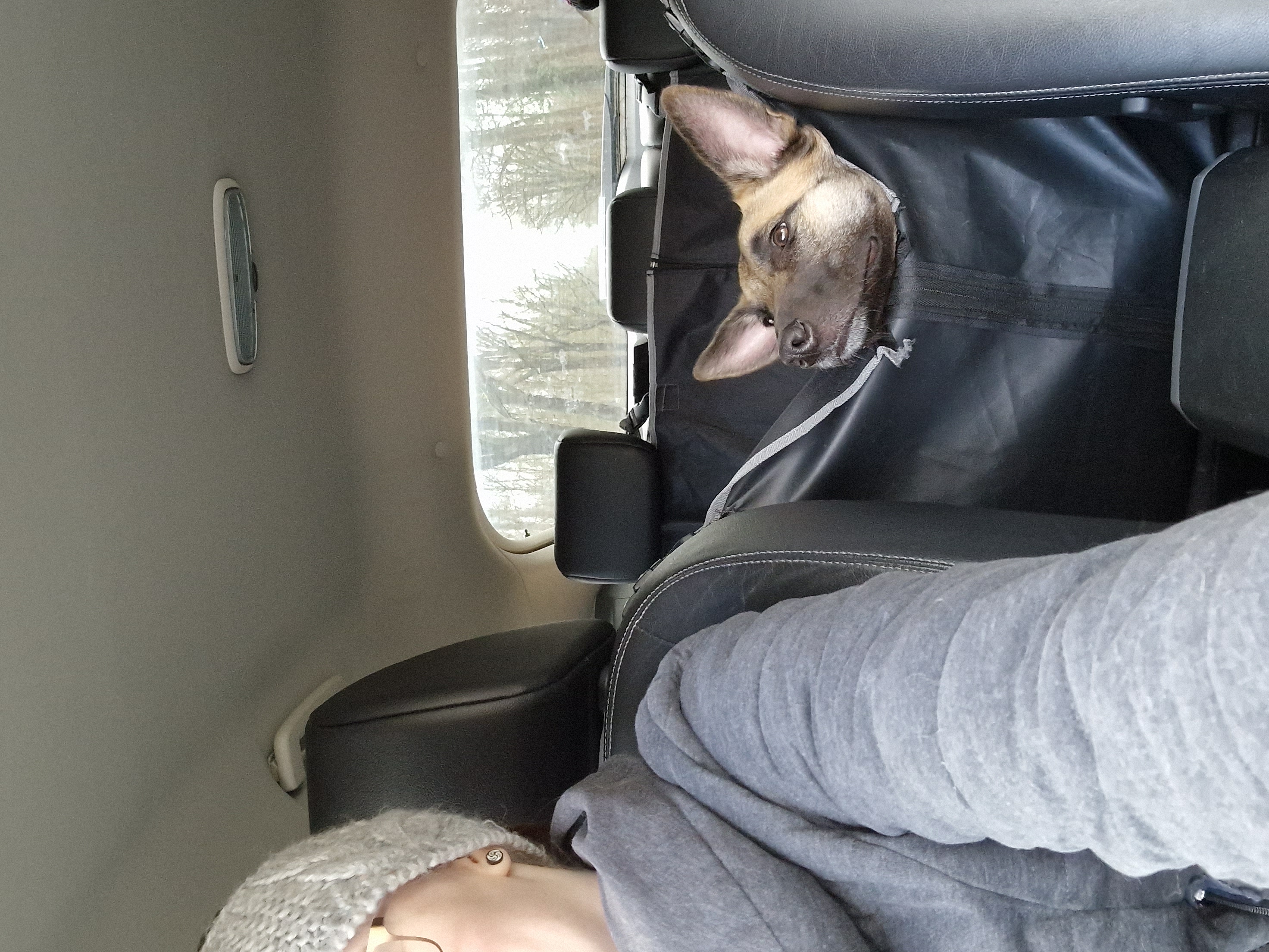 image-6