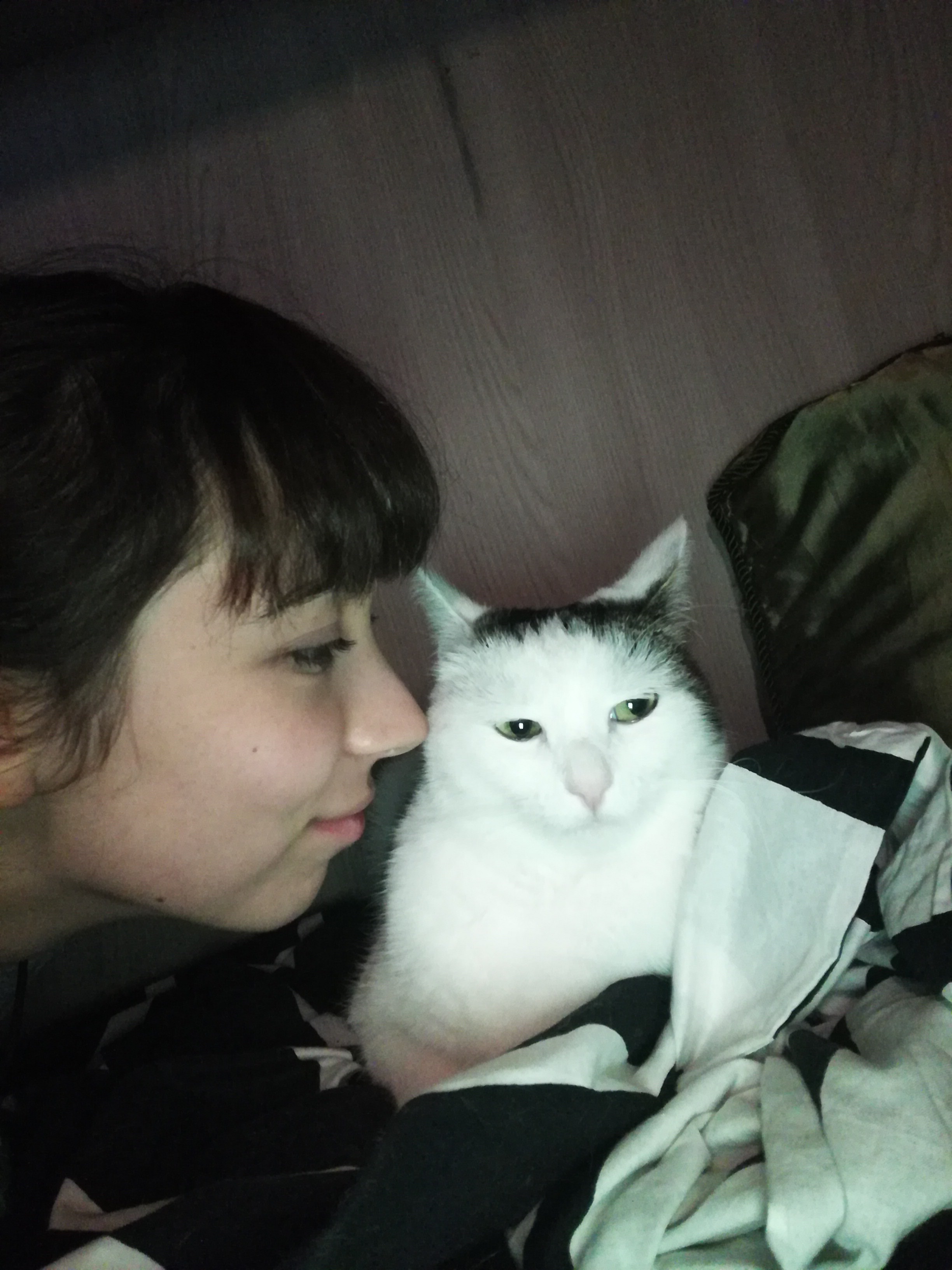 image-5