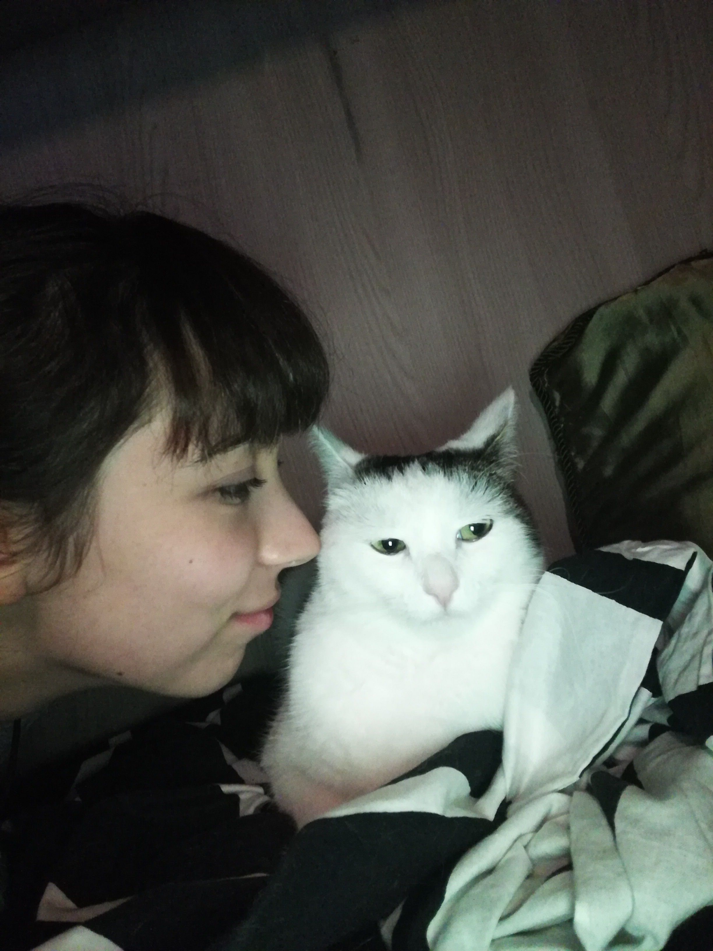 image-5