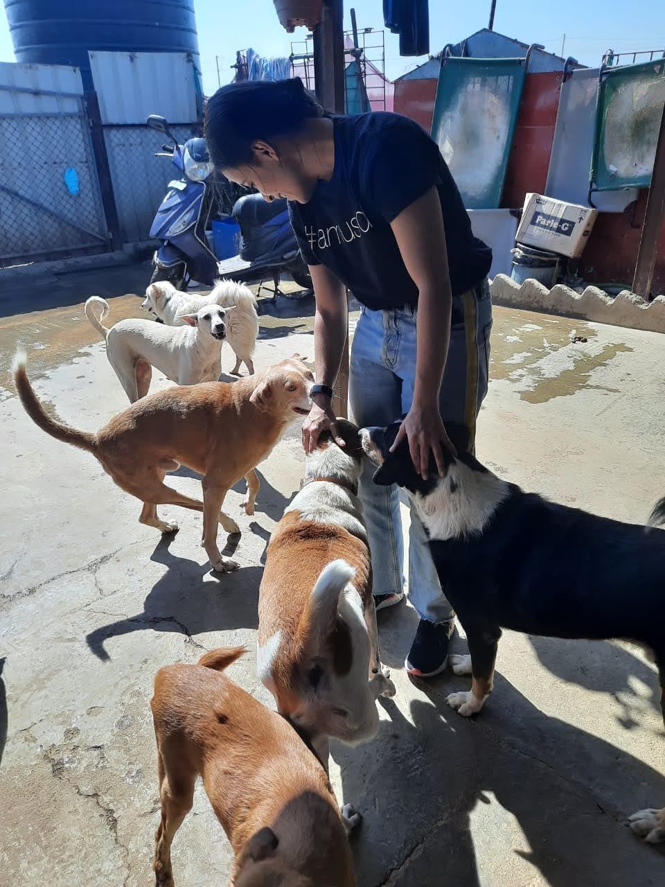 image-3