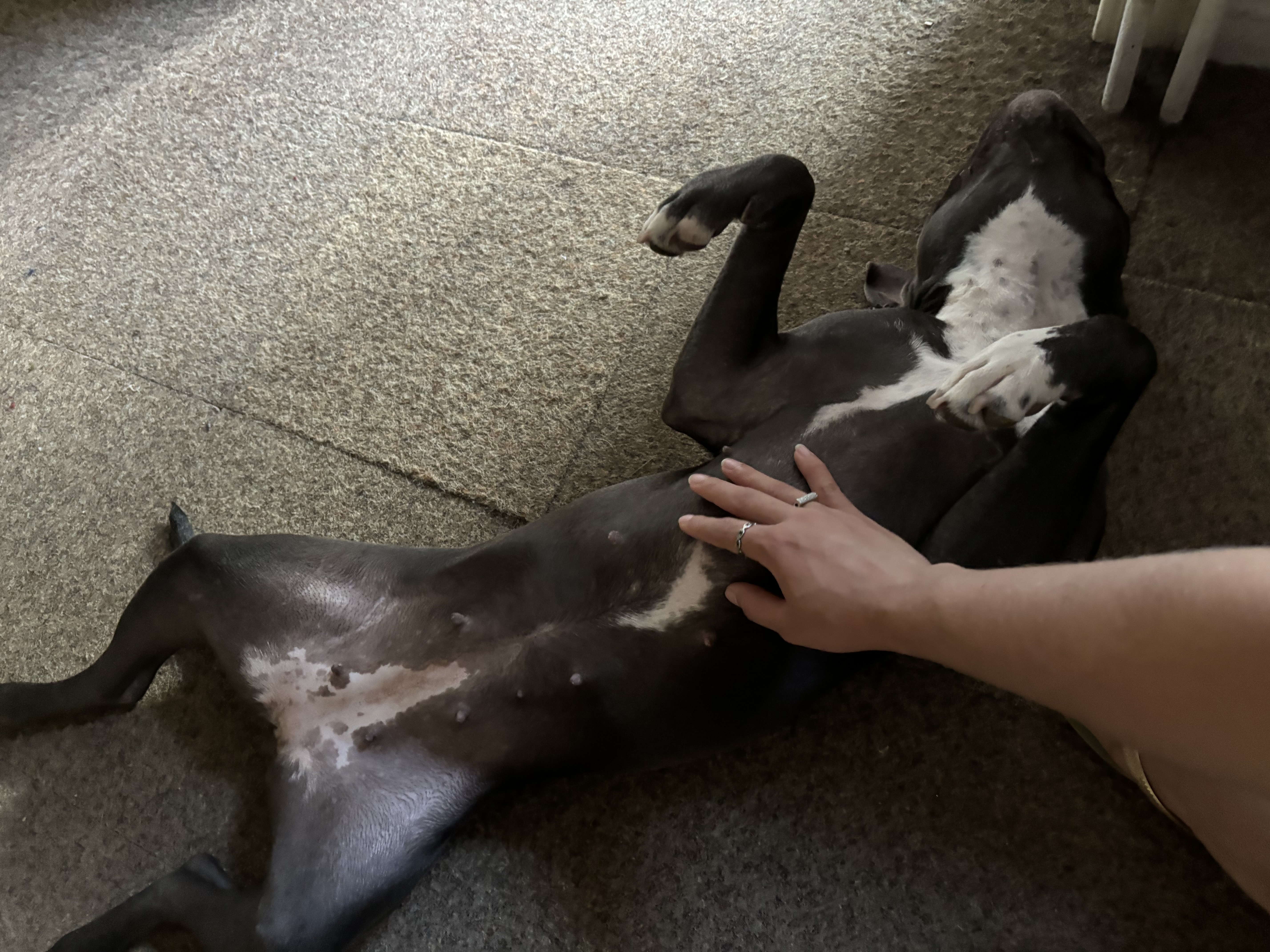 image-8