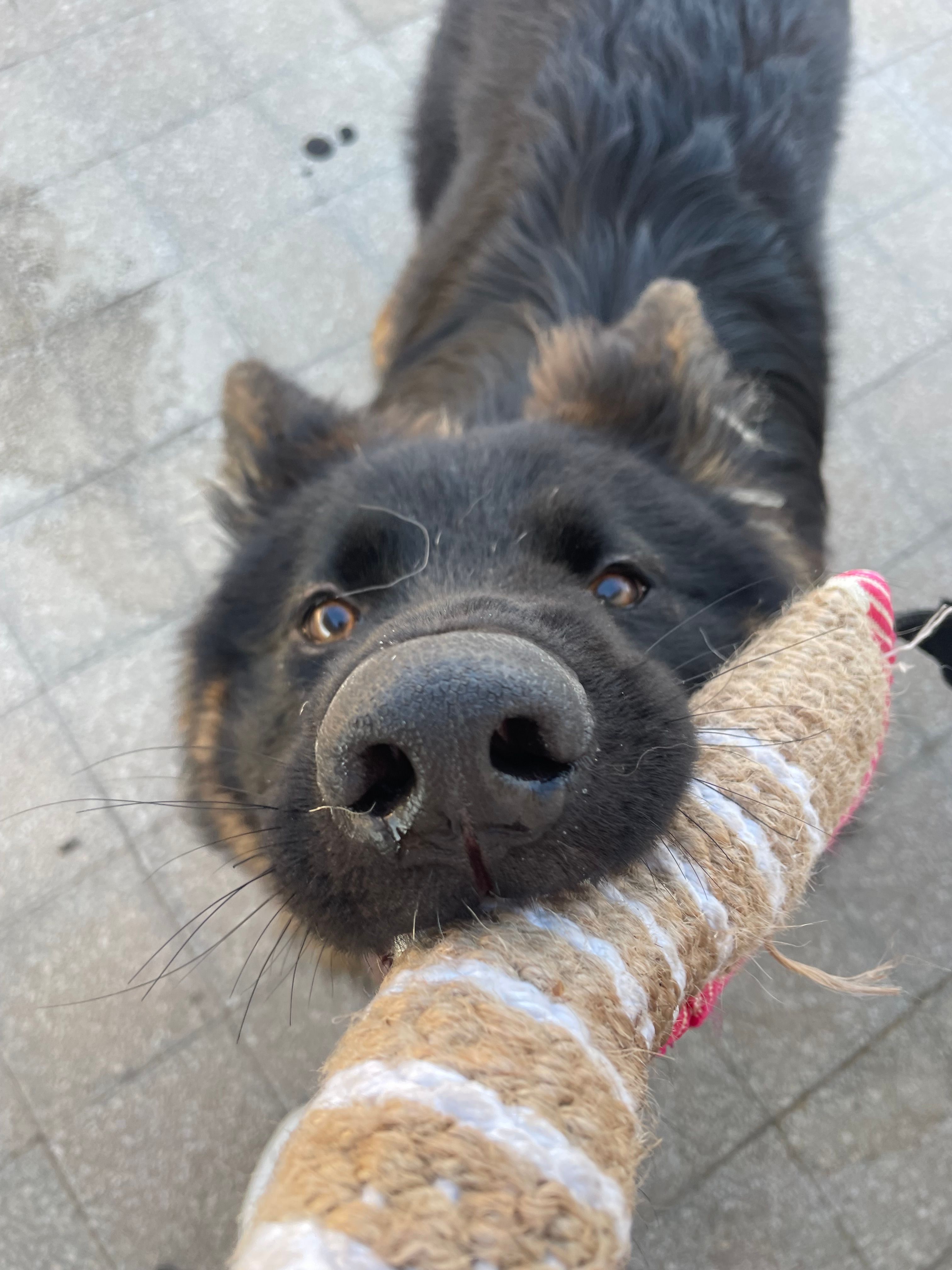 image-6